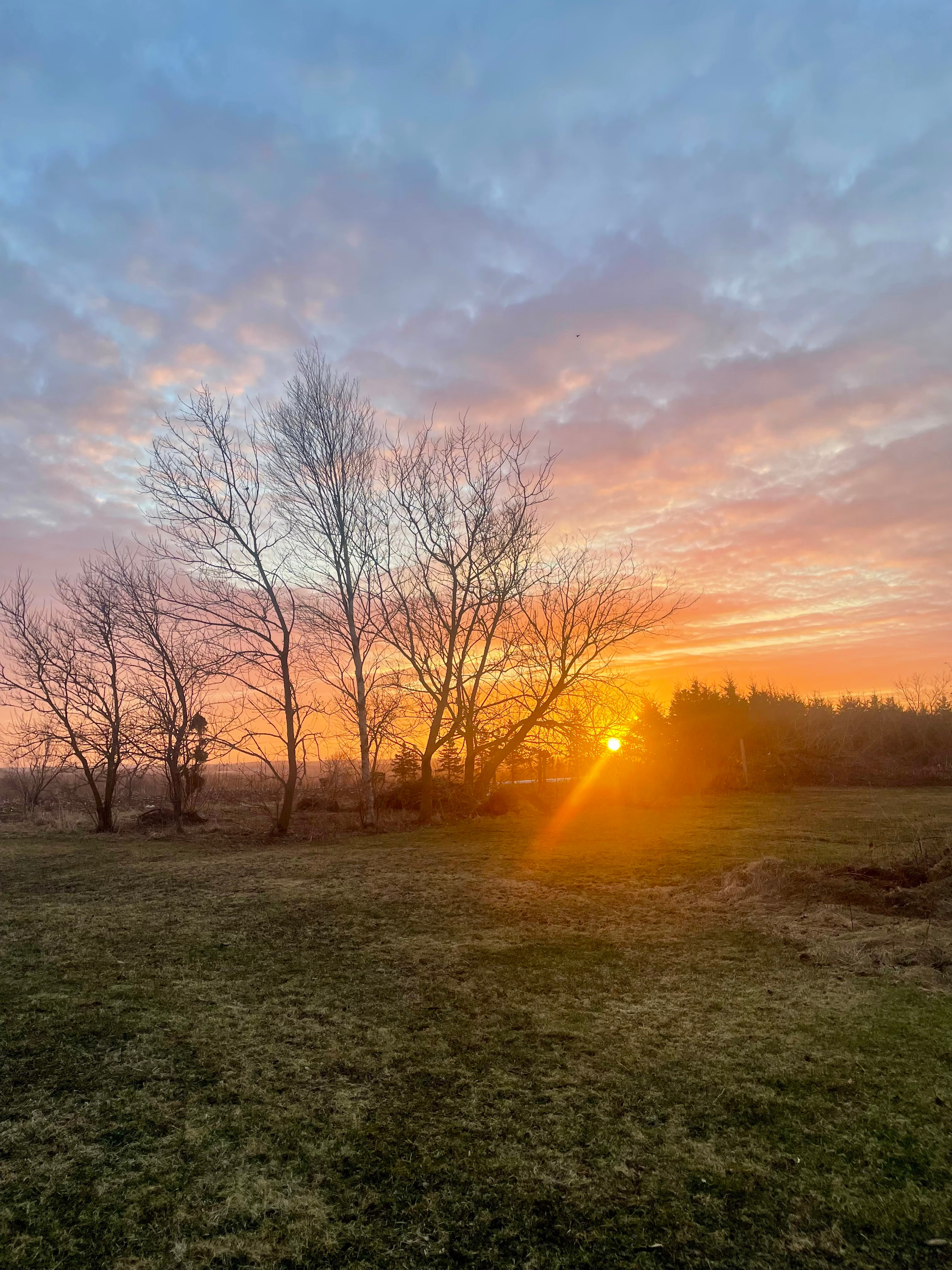 Nora’s Hill