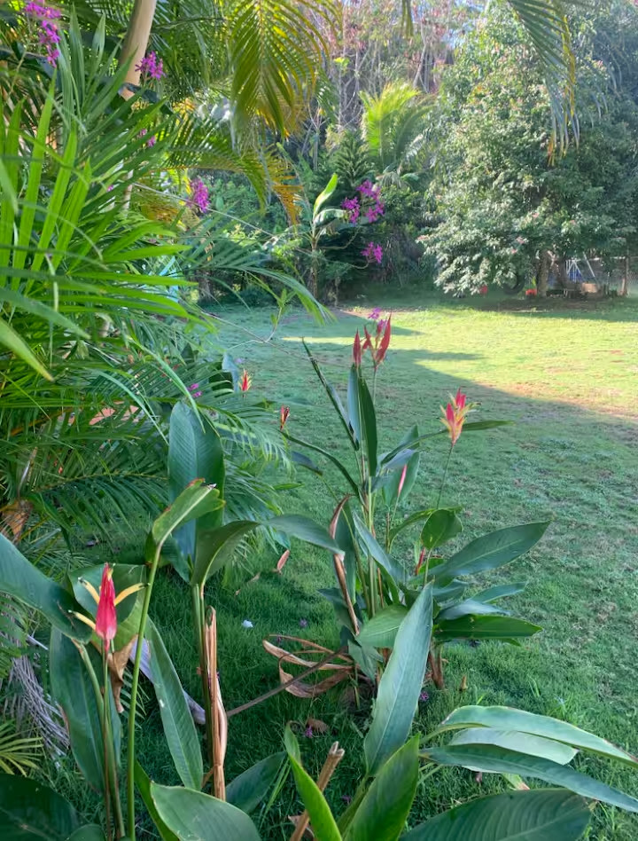 Casa Tropica Entire Property