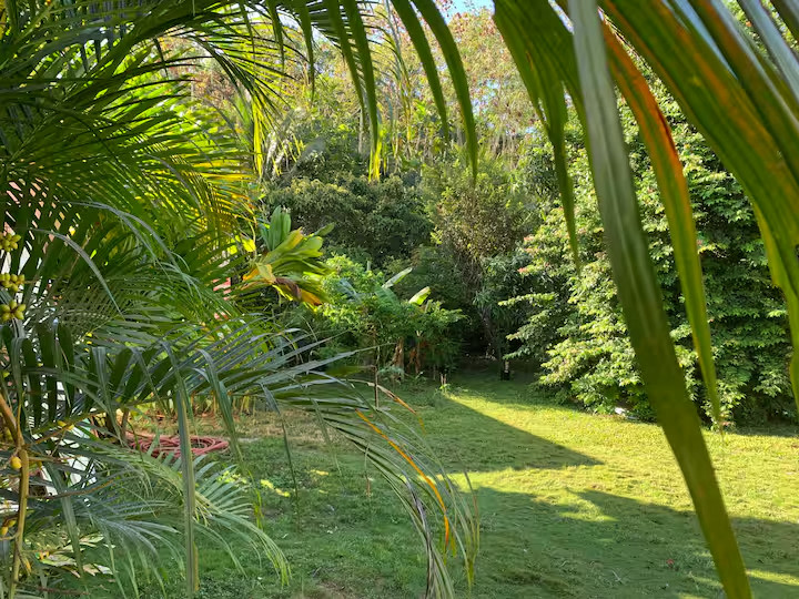 Casa Tropica  3 units