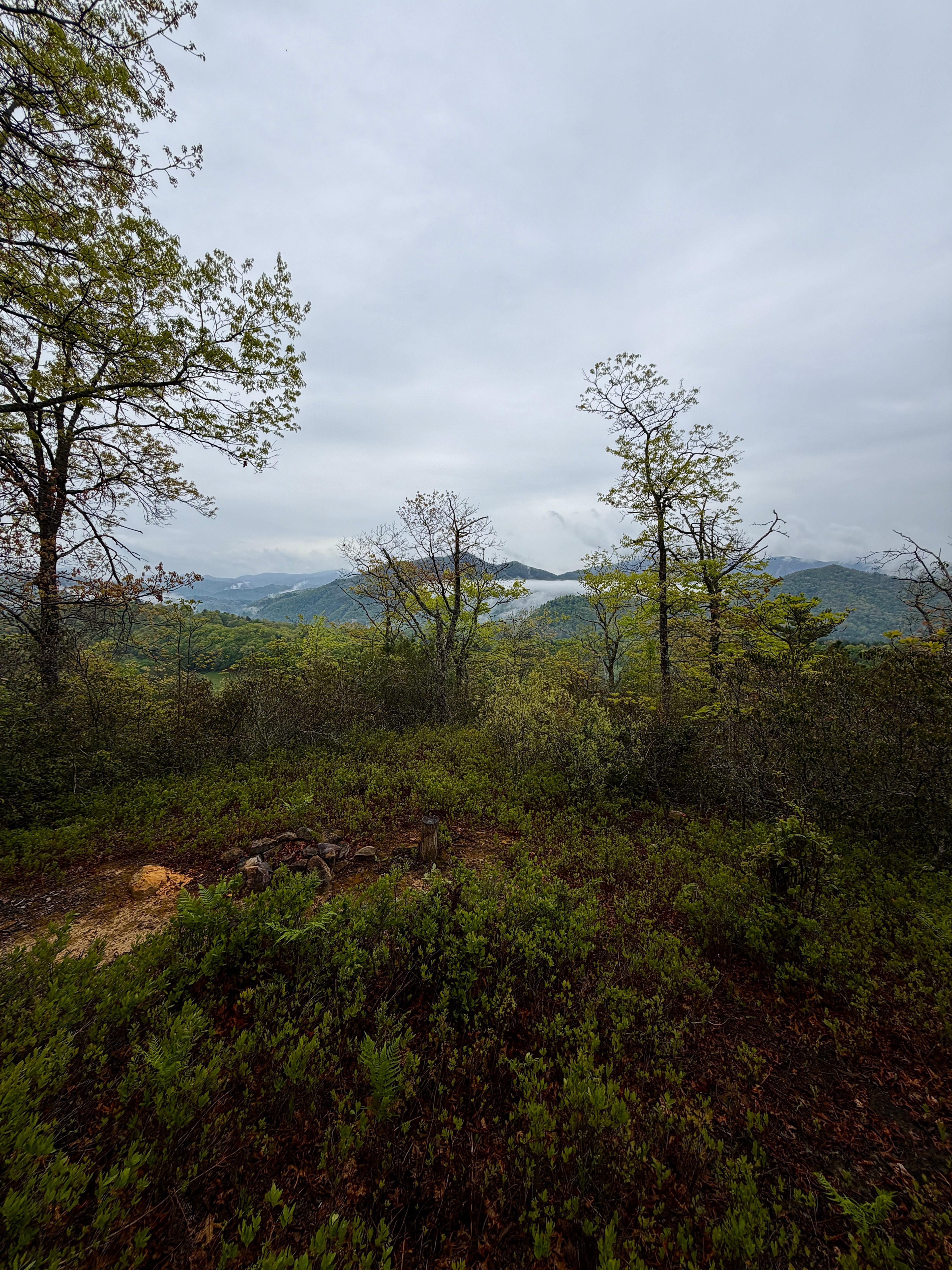 View from the lookout/ top campsite at end of trail on the ridge in spring.