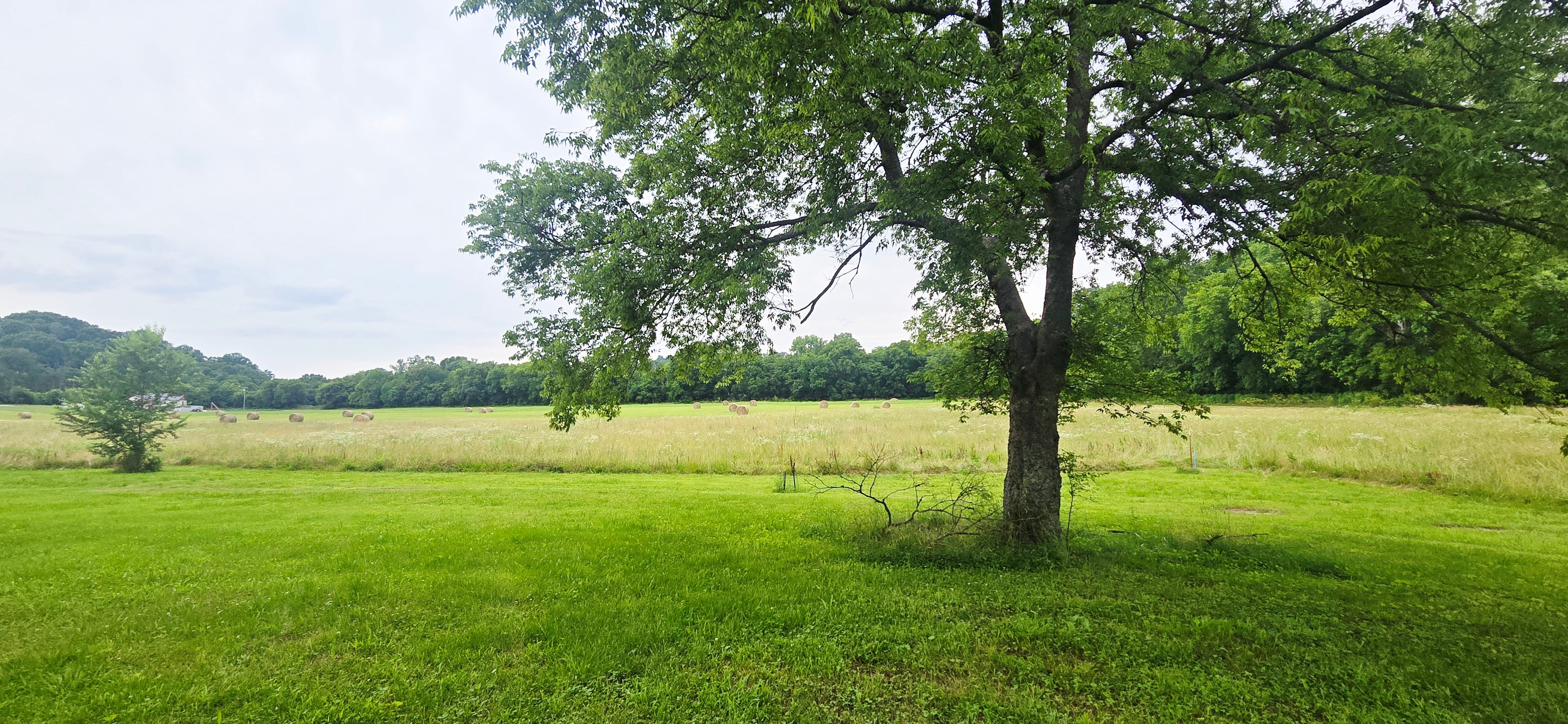 Looking north from the RV site, the view opens into wide Tennessee pastureland dotted with scattered hay rolls and bordered by distant tree lines. Stretching its branches across the foreground stands a grand old pecan tree, offering shade, character, and a quiet sense of permanence to the landscape. Though the neighboring fields now belong to other landowners, the scene still carries the peaceful rhythm of rural farm country — open skies, soft breezes, and the timeless calm of the countryside.