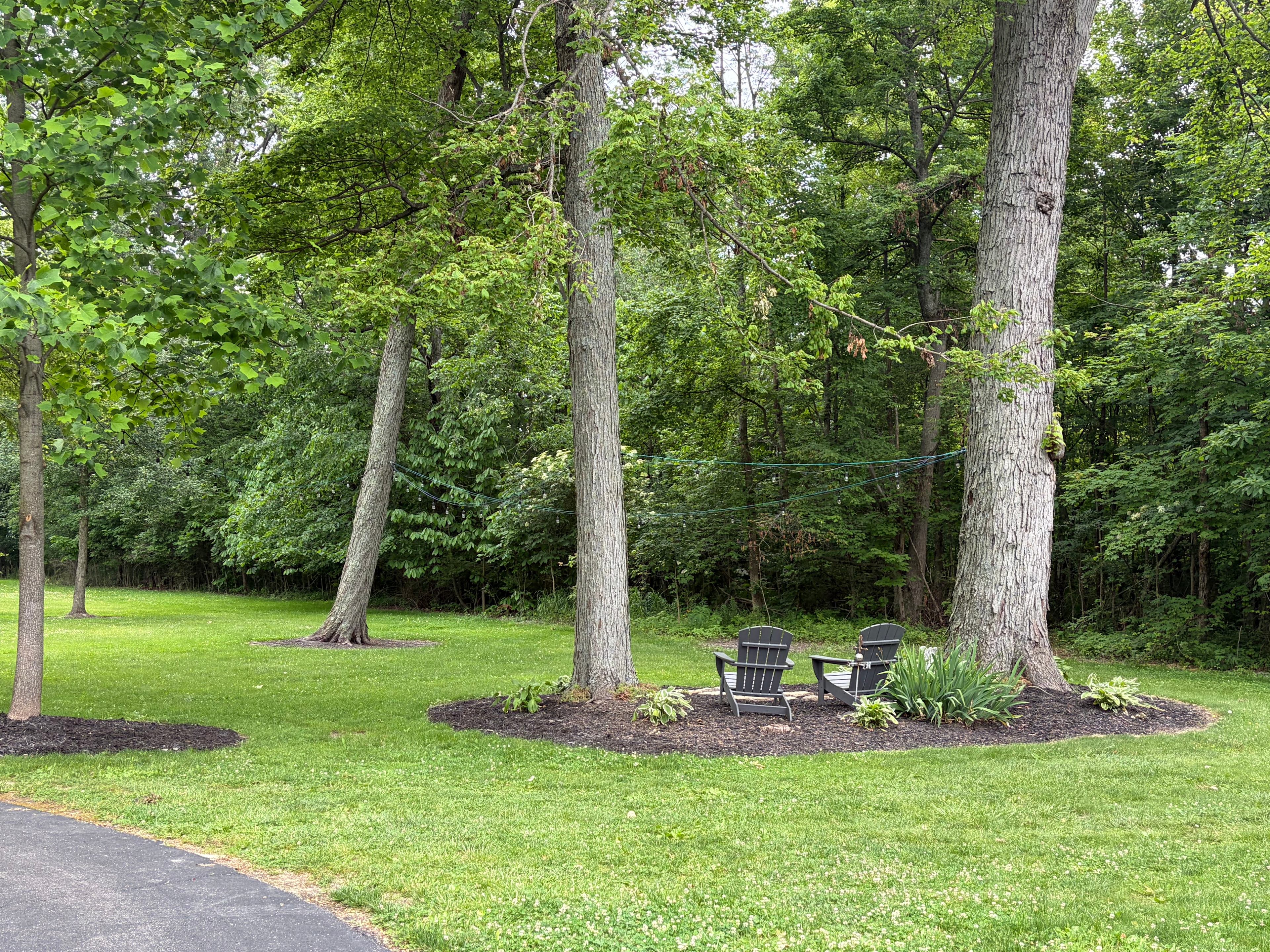 Bethany Woods