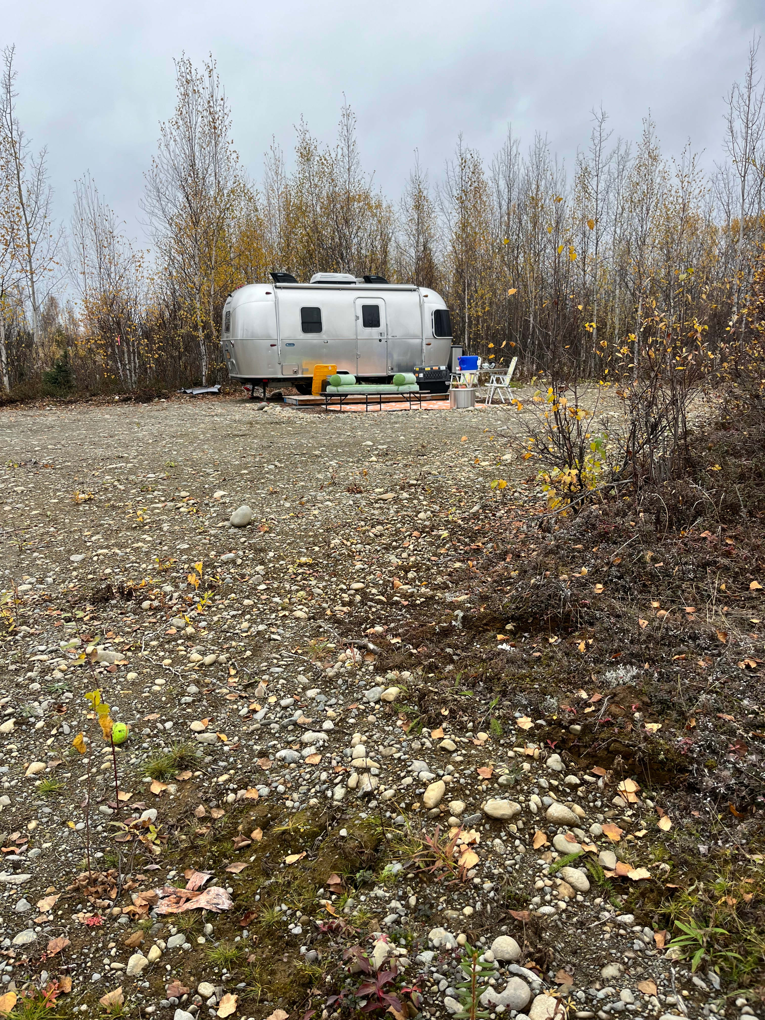 Big Lake Birch Bend