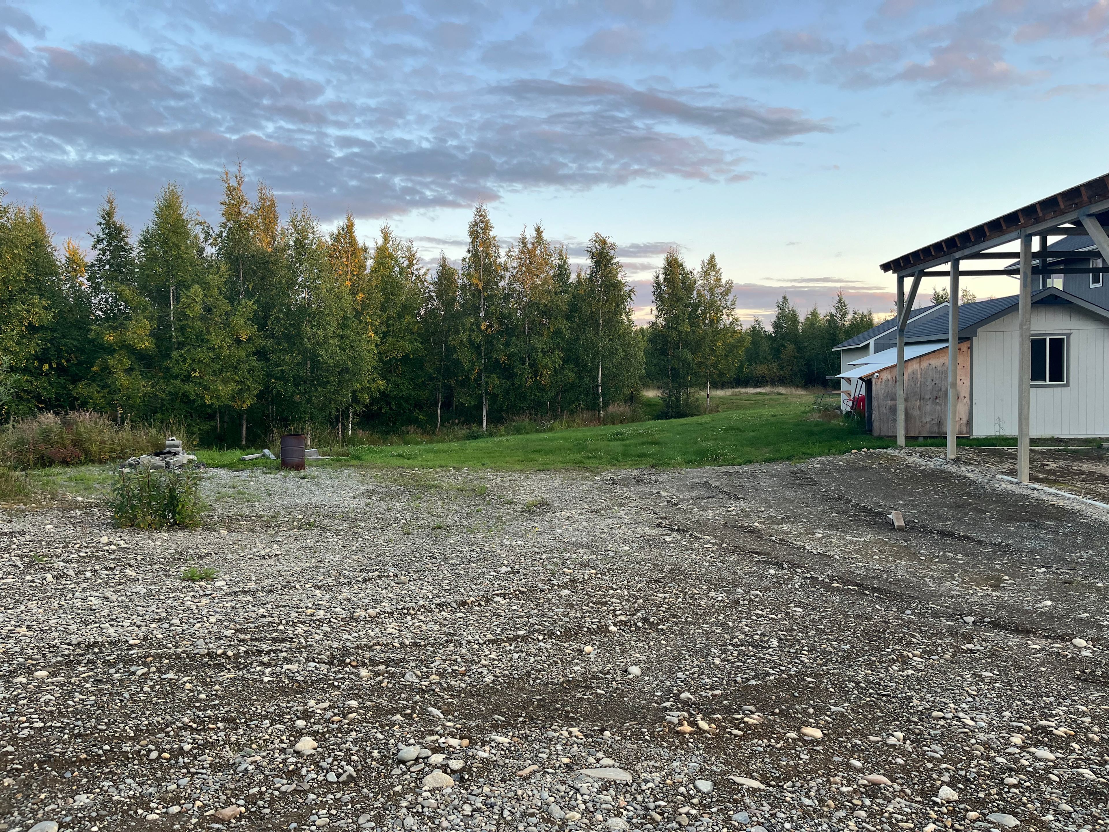 Big Lake Birch Bend
