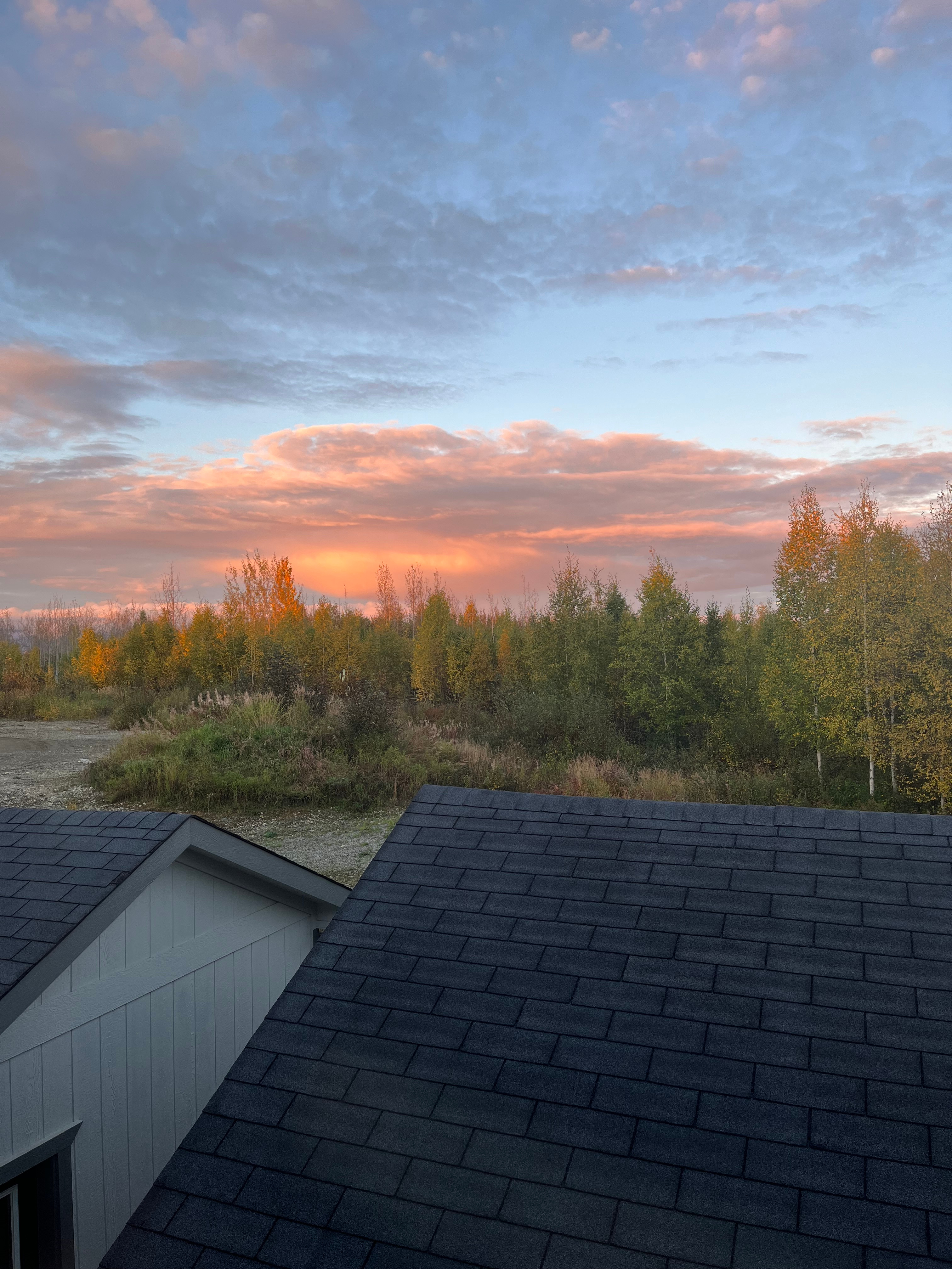 Big Lake Birch Bend