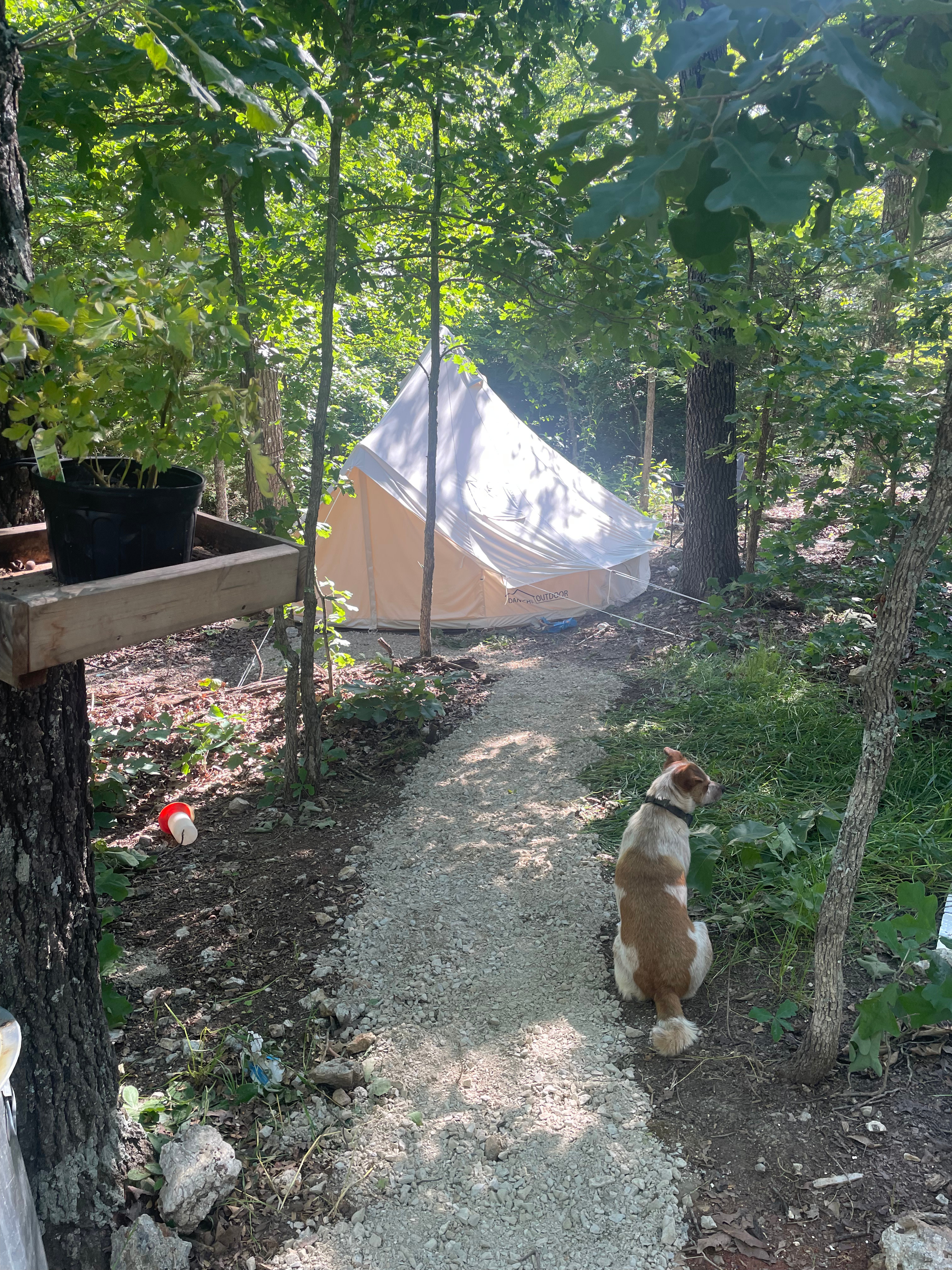 The path leading to the Bell tent 