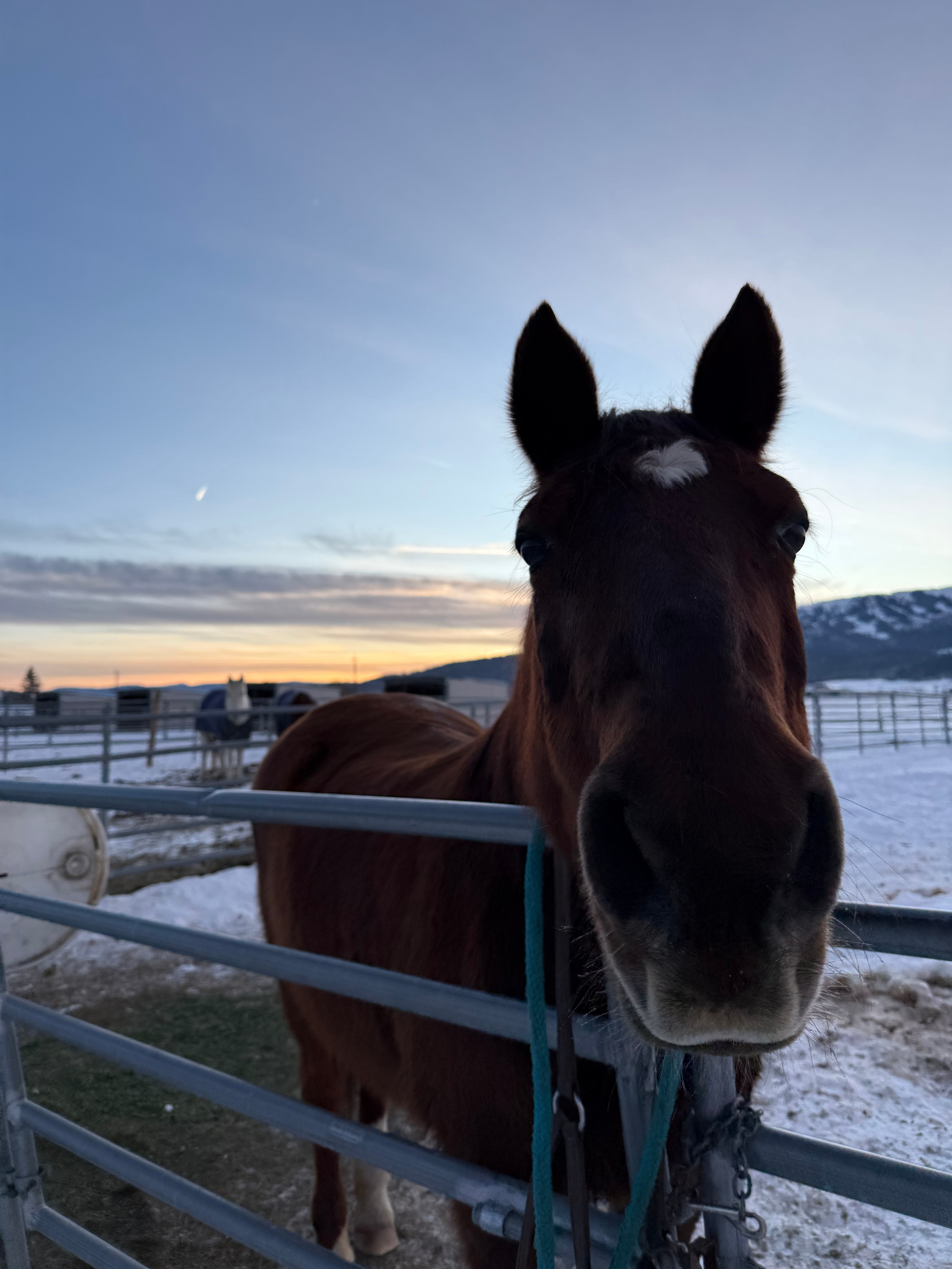 Skyhawk Equestrian Center