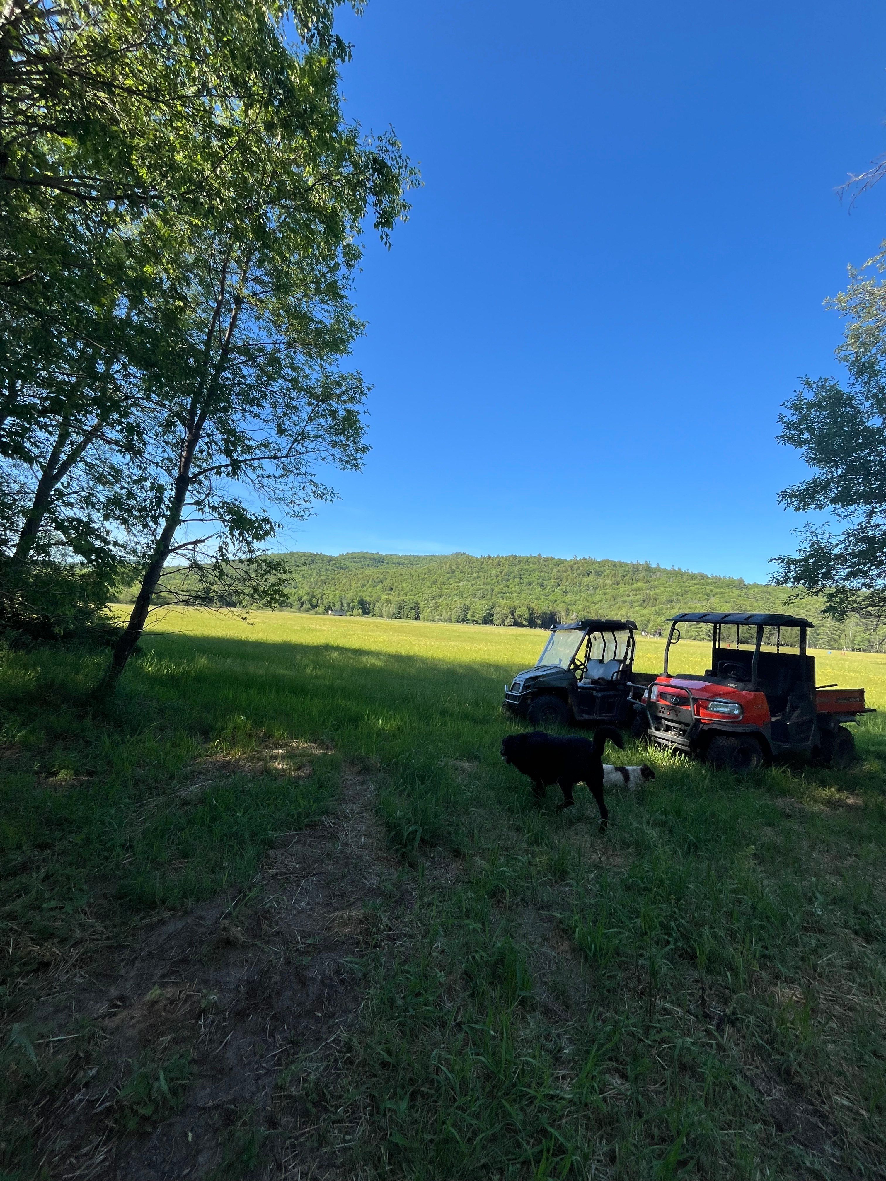 That’s A Wrap Ranch Camping