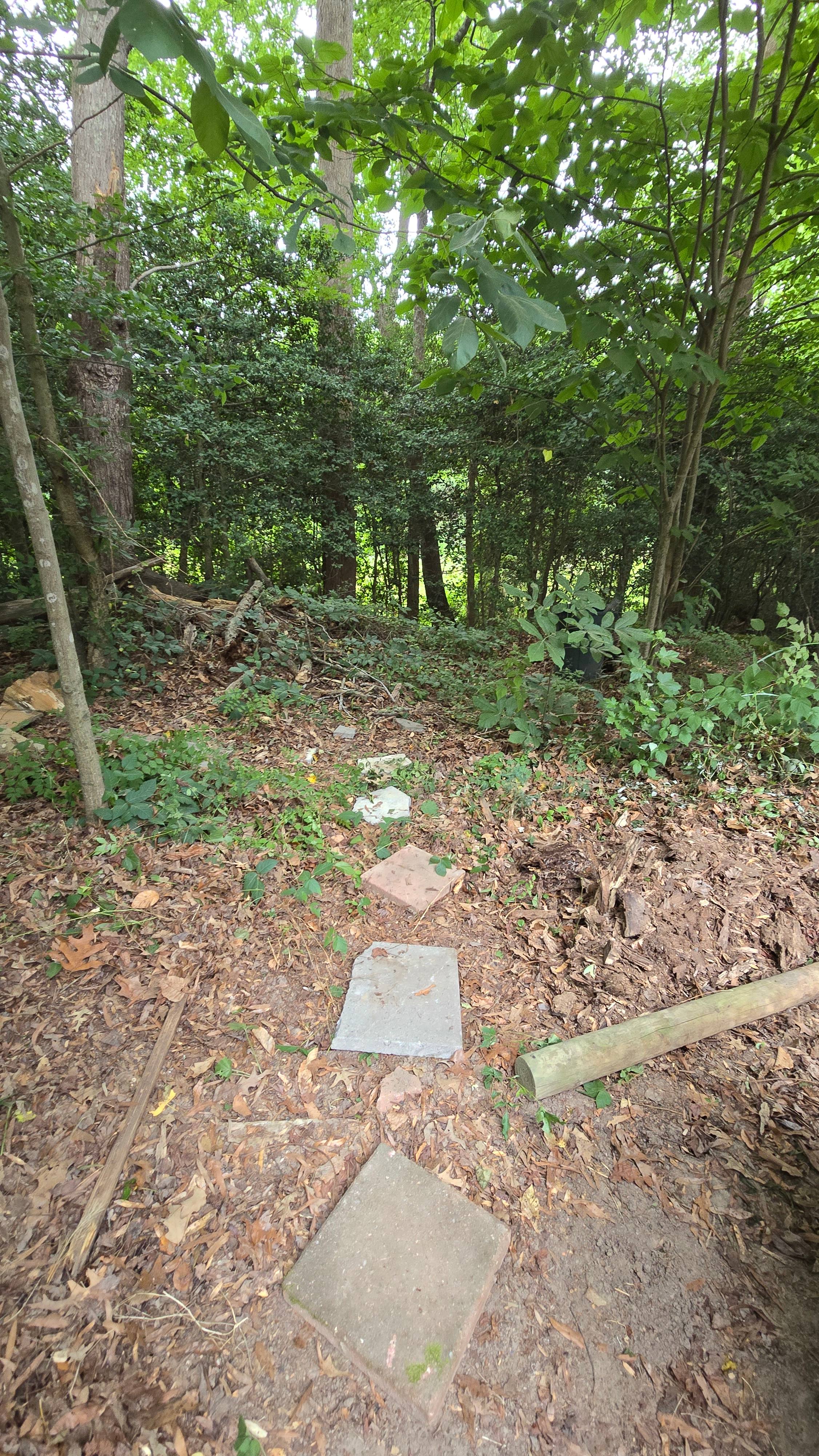 The Pavillion at Mill Run