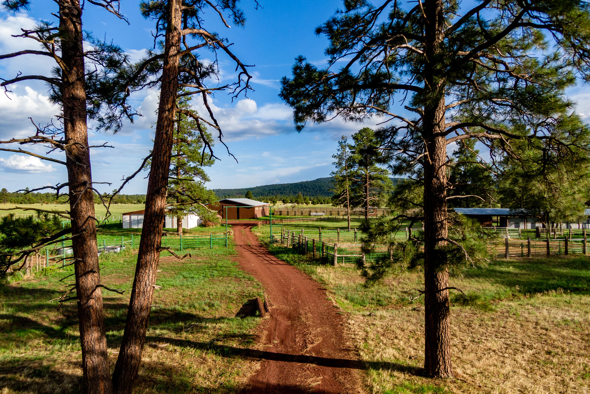 NAU Hat Ranch