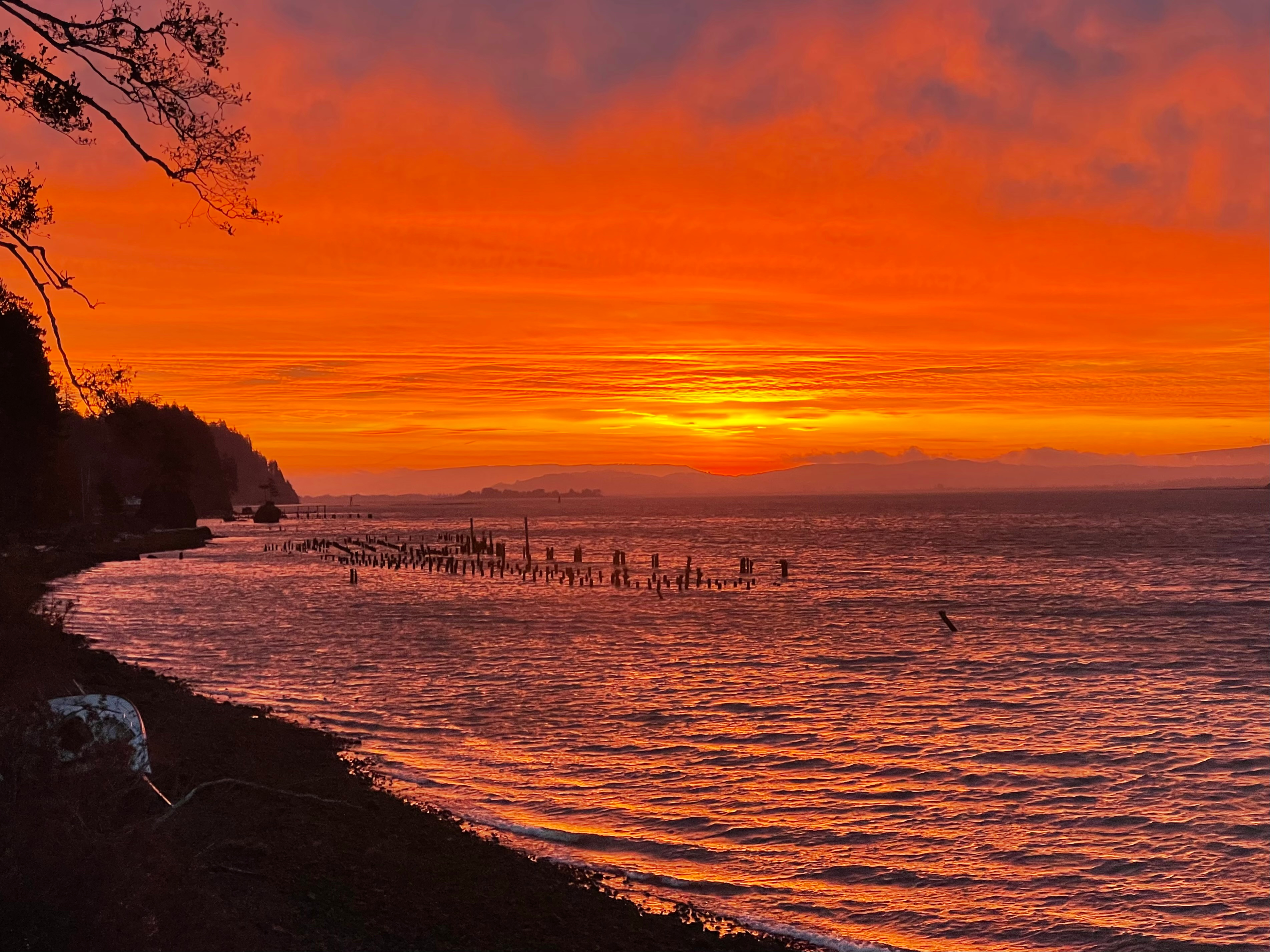 Otter Cove