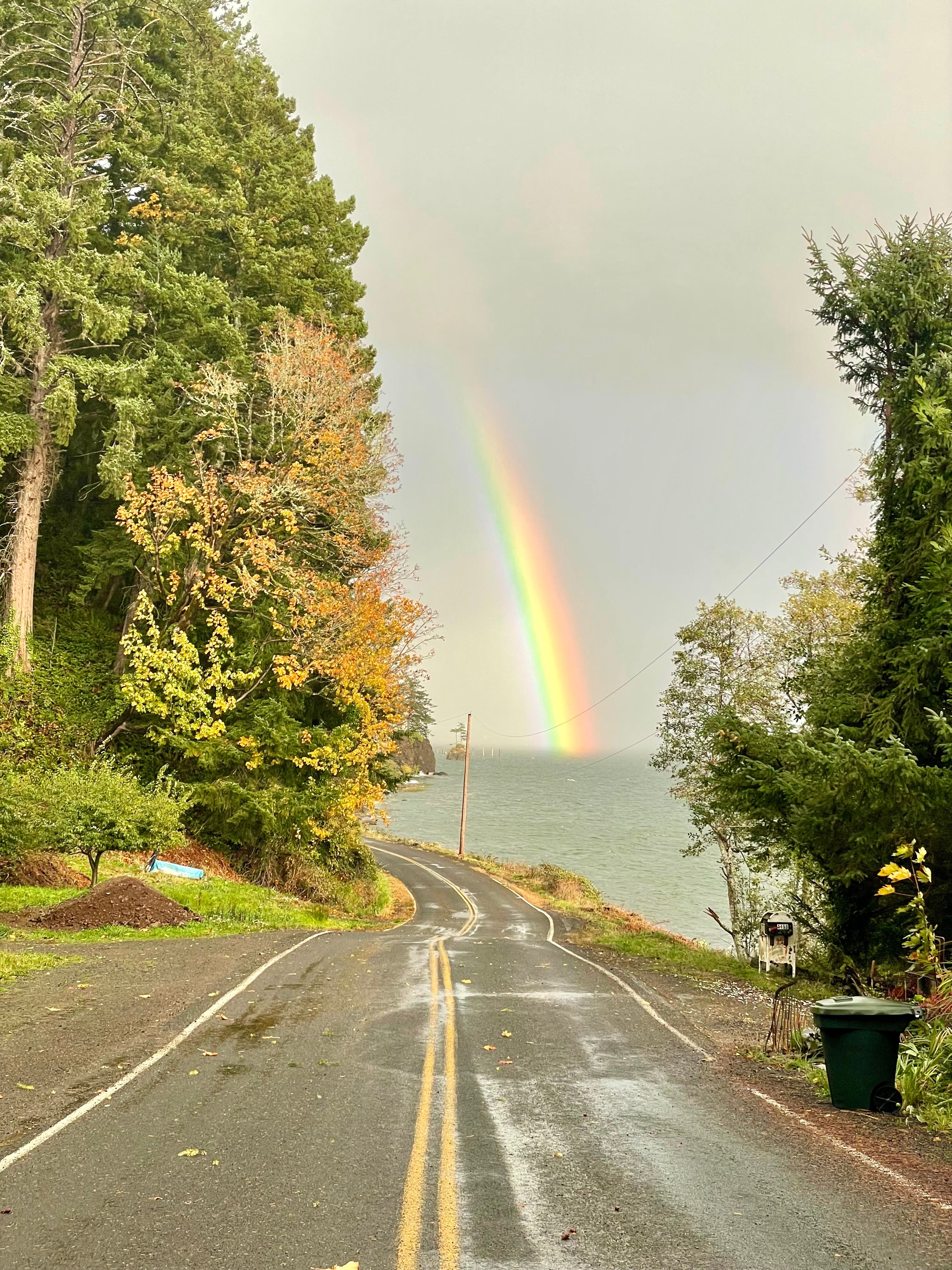 Otter Cove