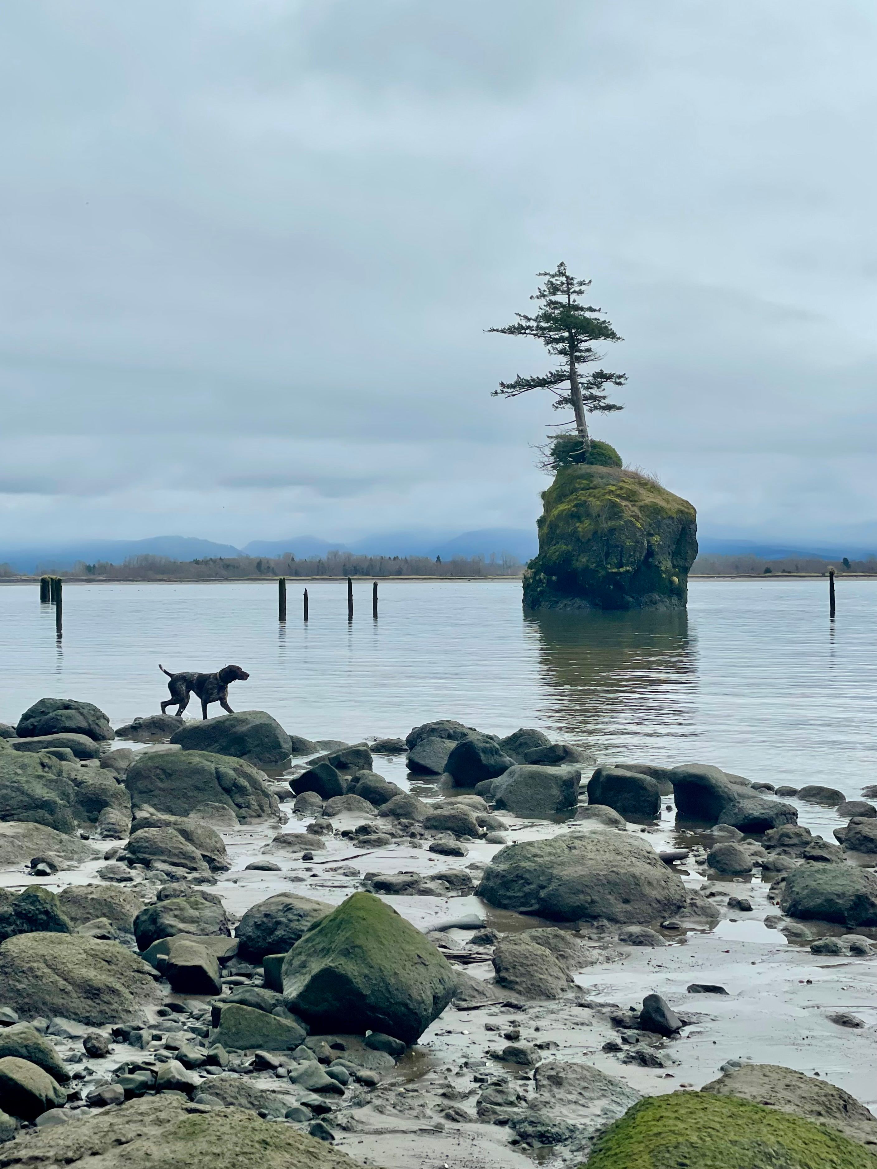 Otter Cove
