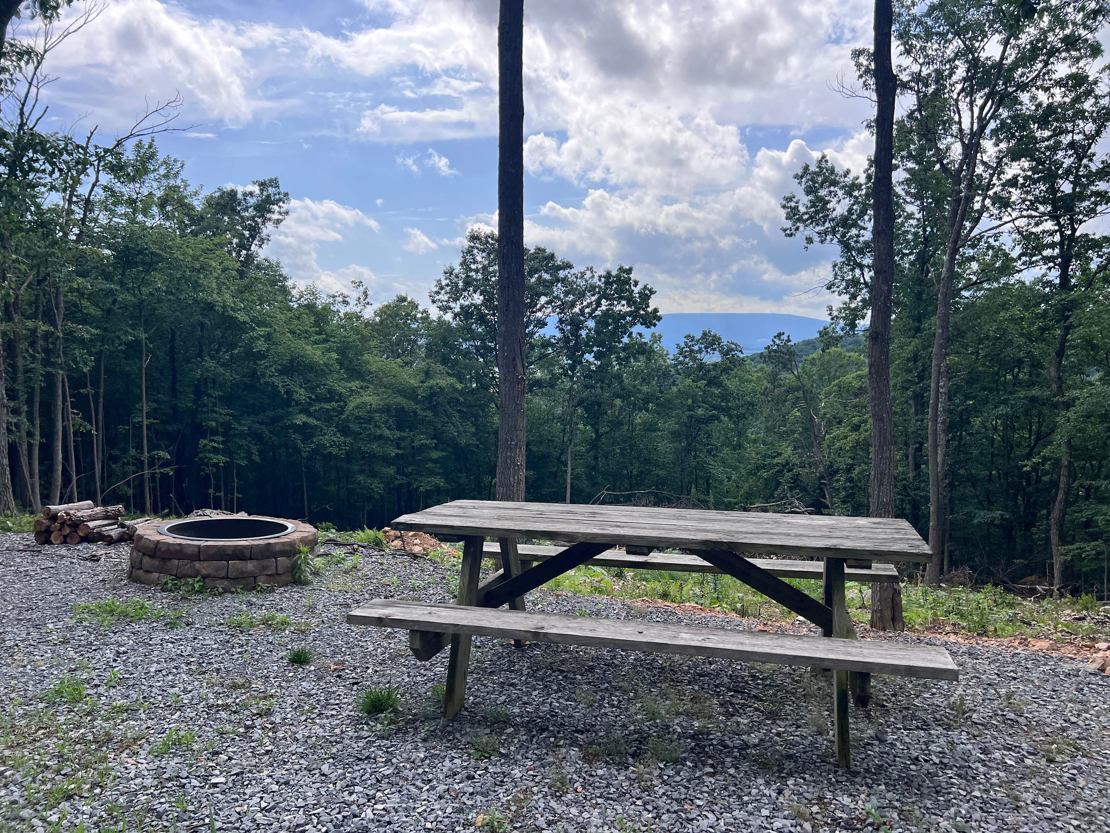 Shenandoah Woods