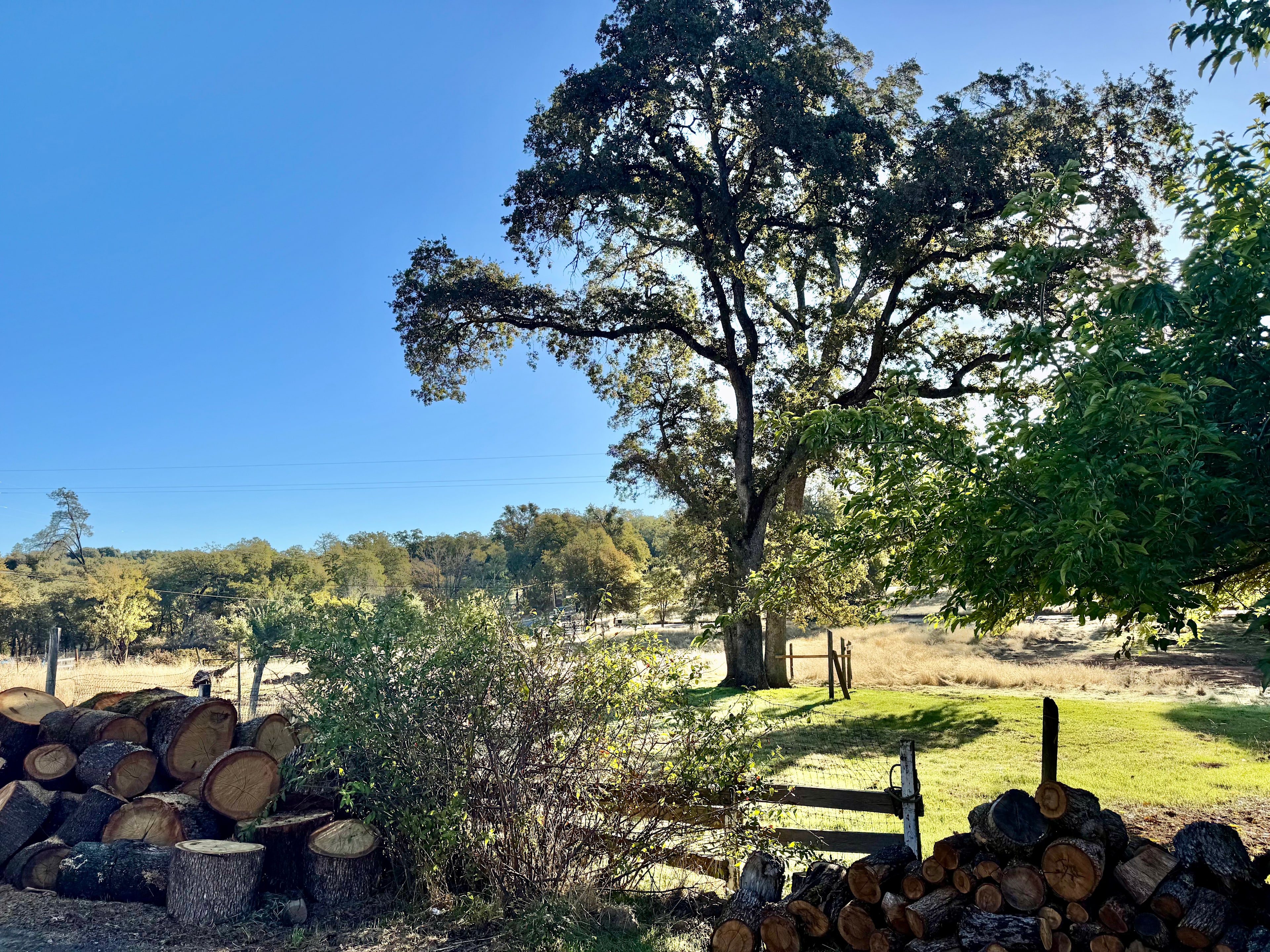 The Greenstone Farm