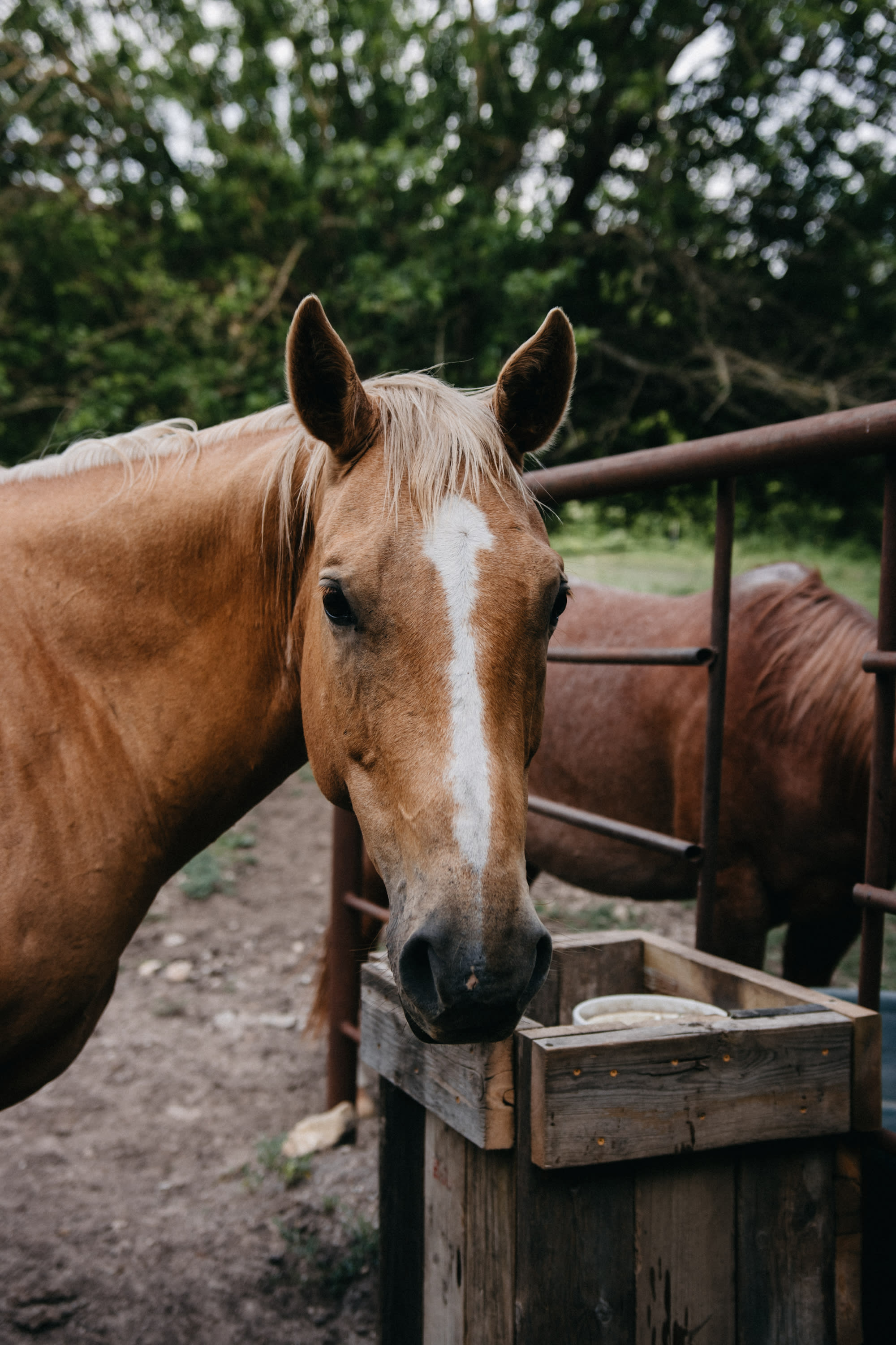 Equine Estates KS