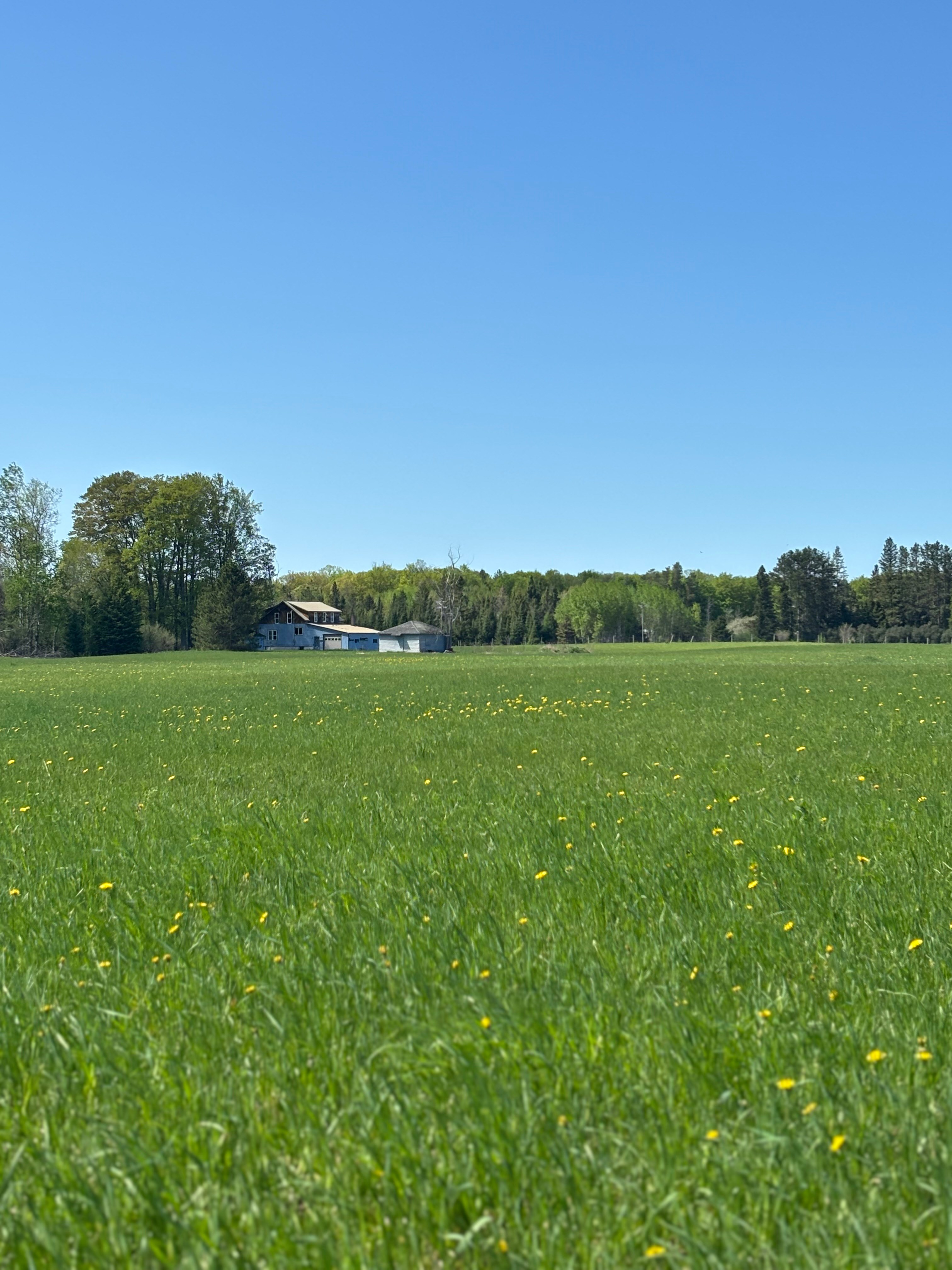 North 41 Place & Woodland Meadows