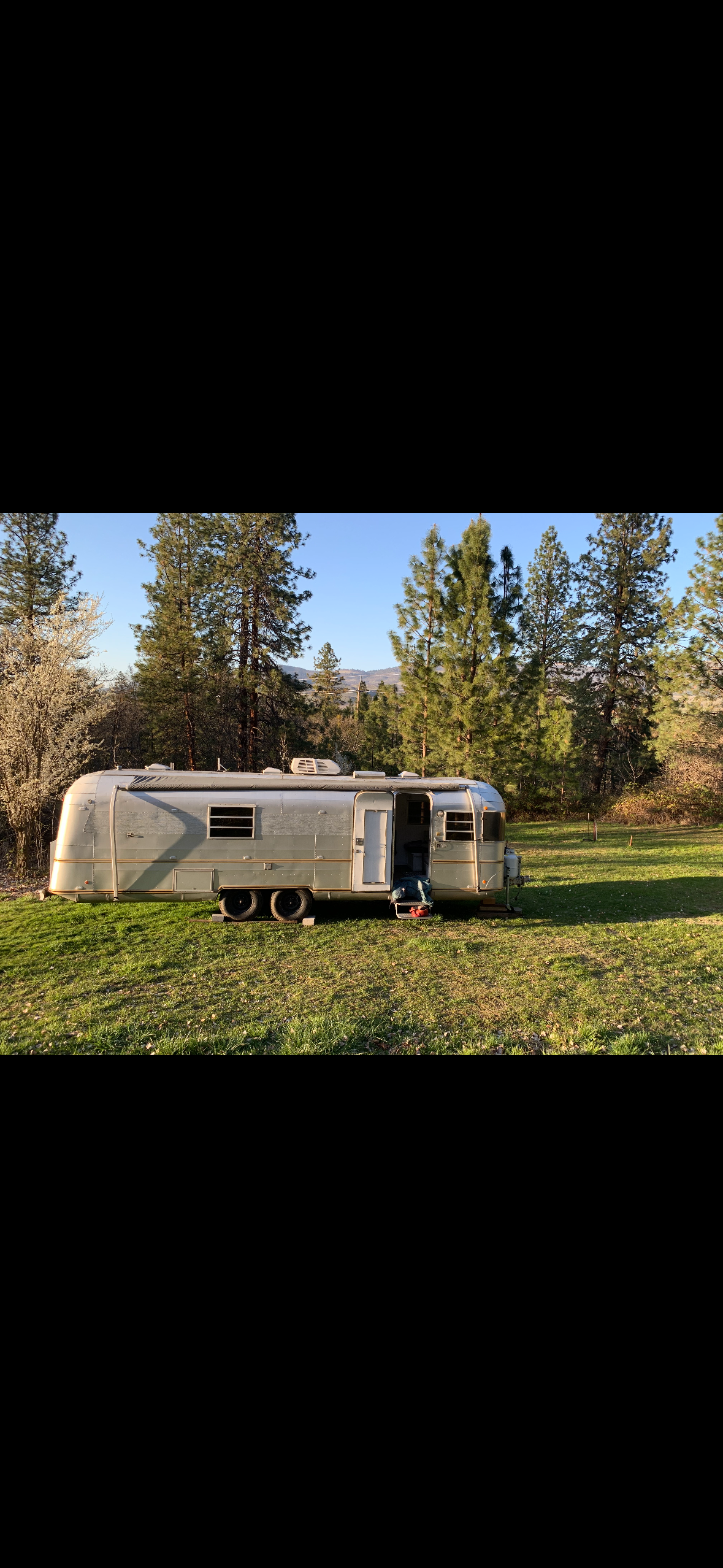 Silver Streak Supreme by Ashland