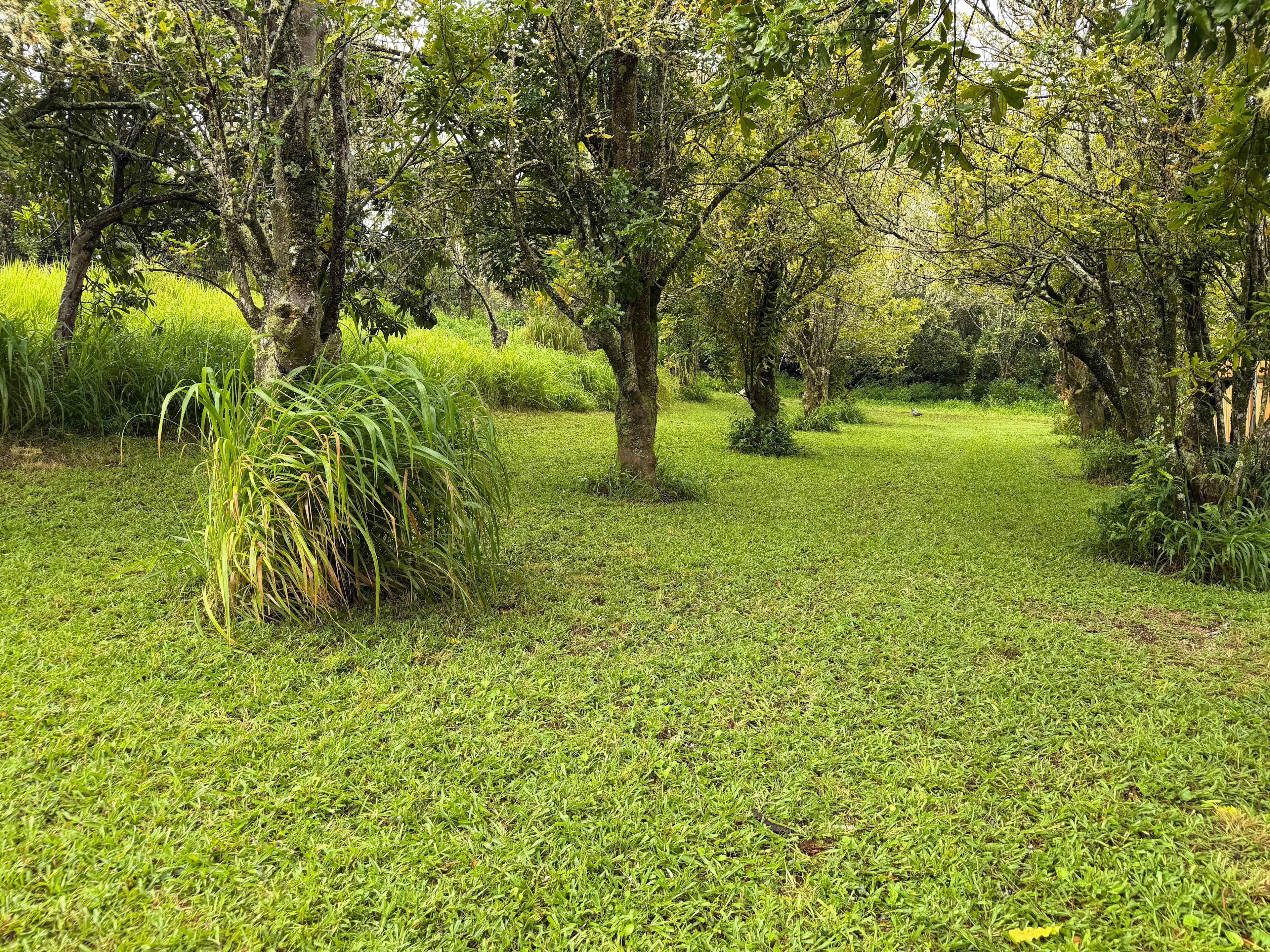 Volcano Island Farm