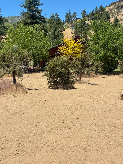 2 Acres w/1000's of Acres of Forest