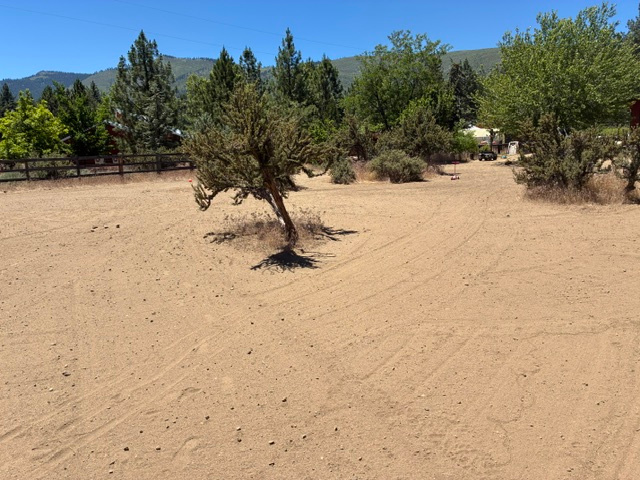 2 Acres w/1000's of Acres of Forest