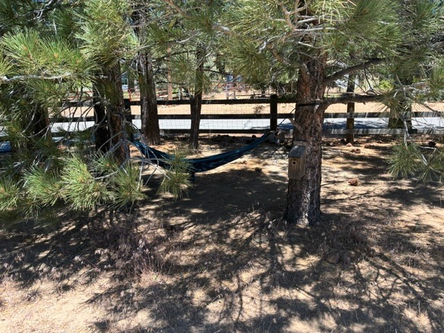 2 Acres w/1000's of Acres of Forest