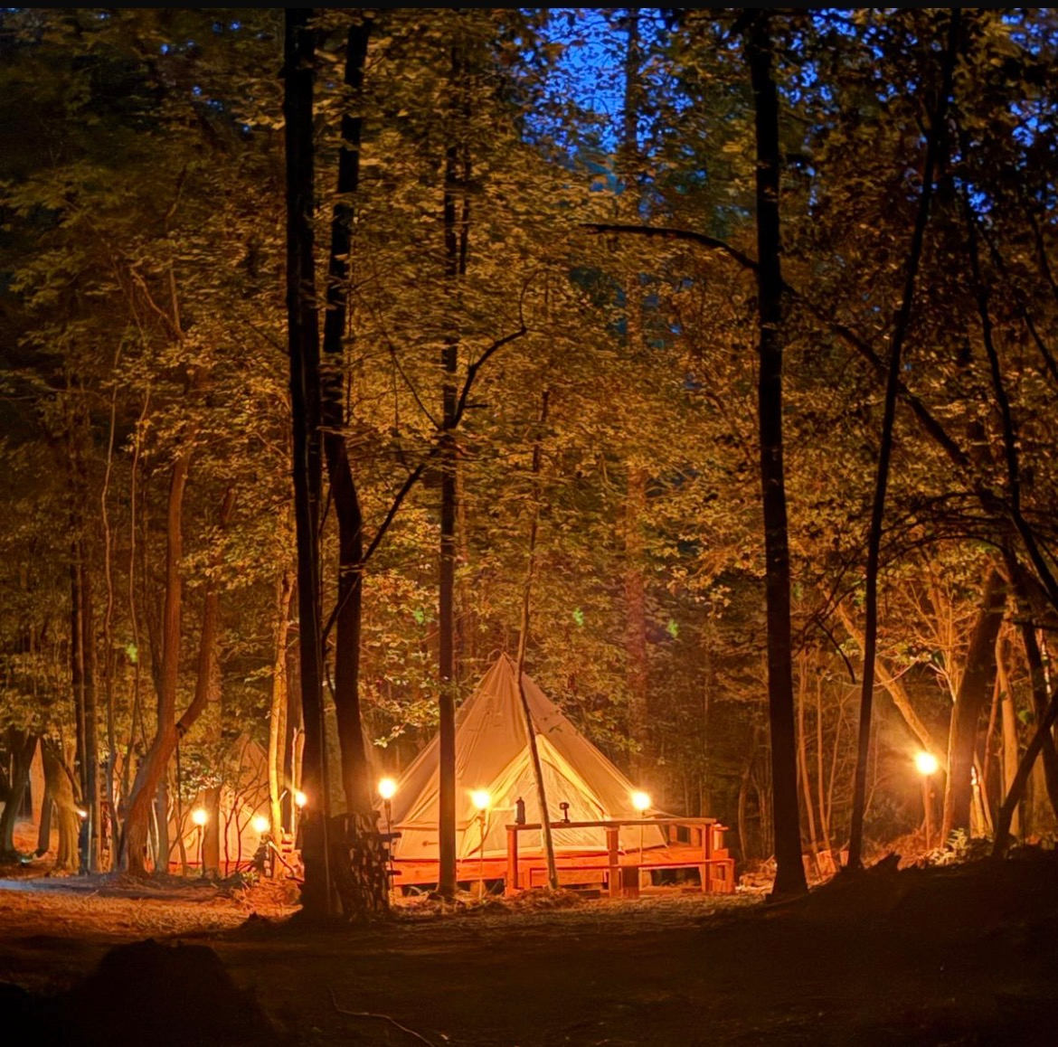 Salty Pines Hideaway