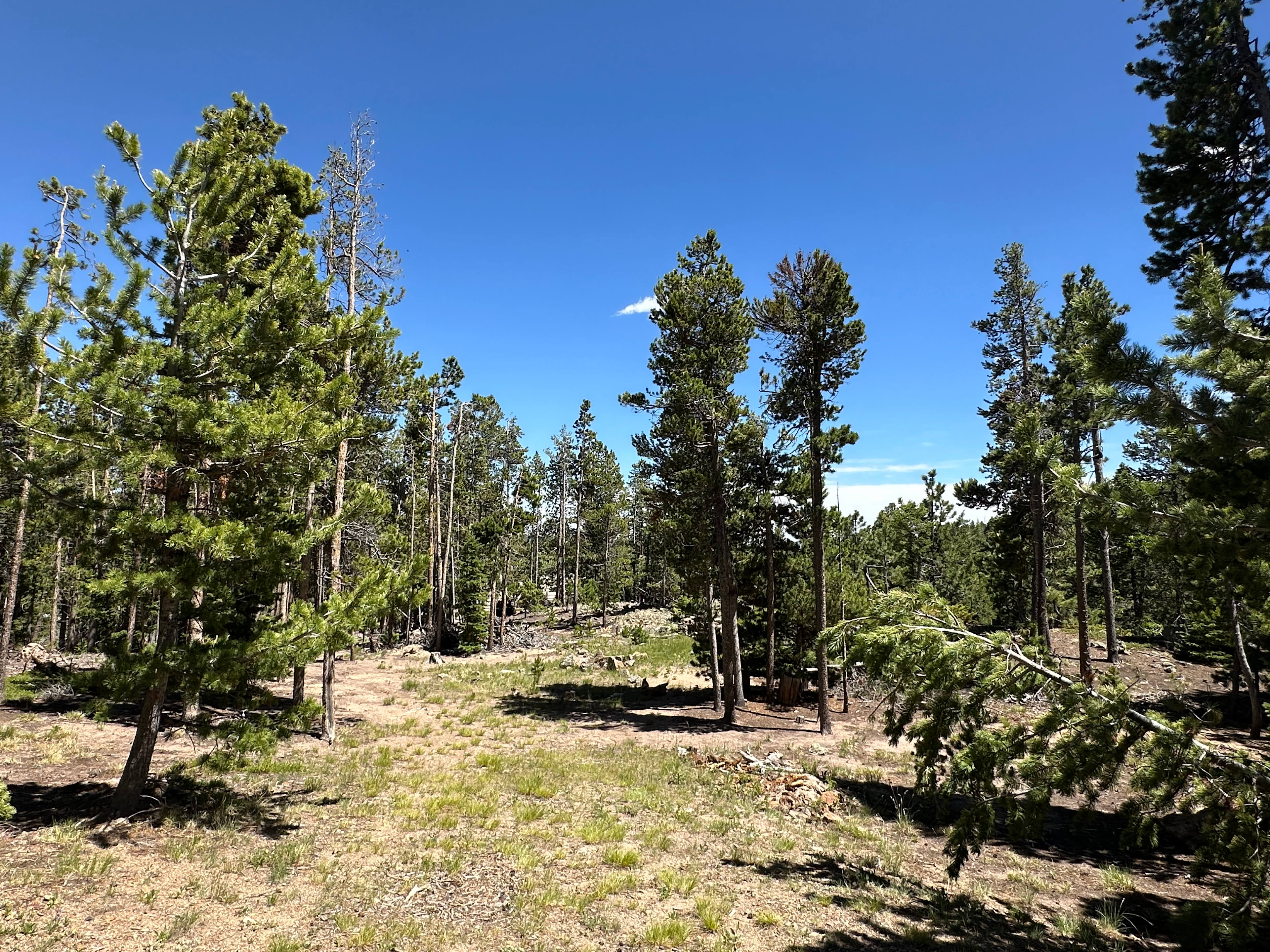 Looking down into the site from the vehicle access road. That is the communal area and fire pit and cooking area. Tent and parking sites are left, right, and behind this vantage point. 