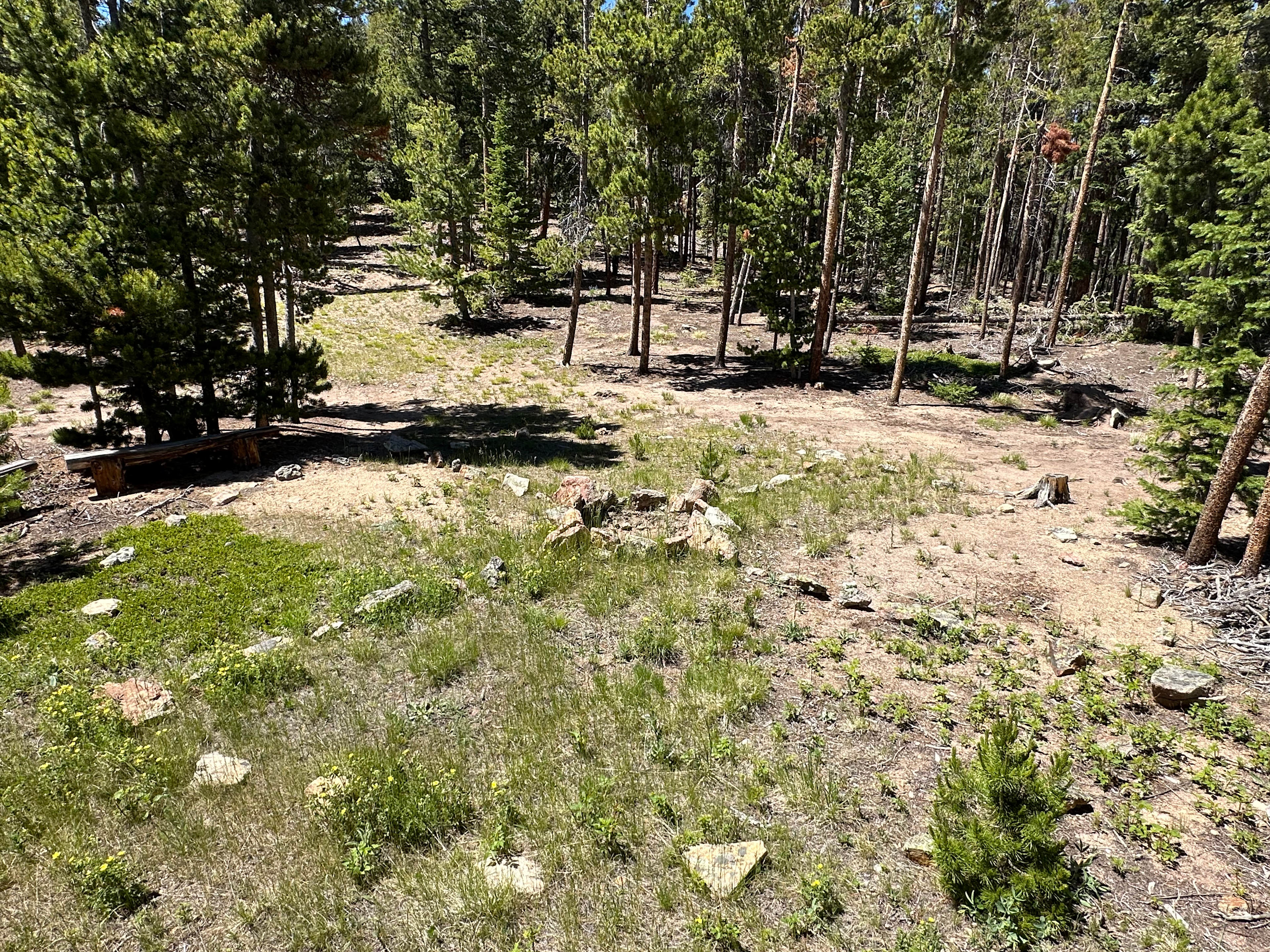 Communal Fire Pit and Medicine Wheel