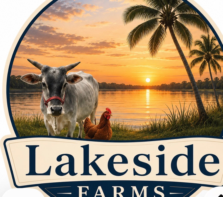 Lakeside RV Sites