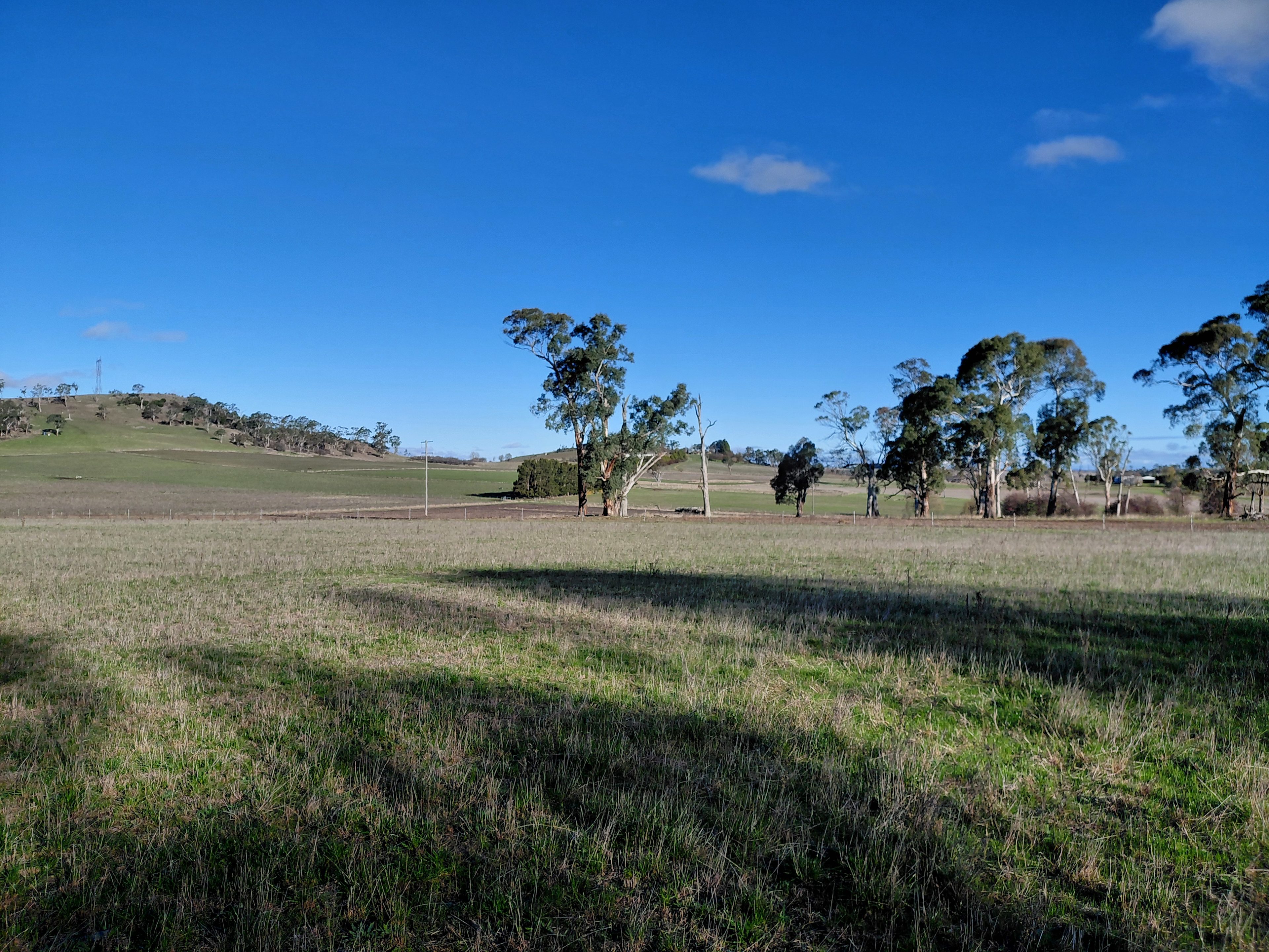 Pleasant Pastures