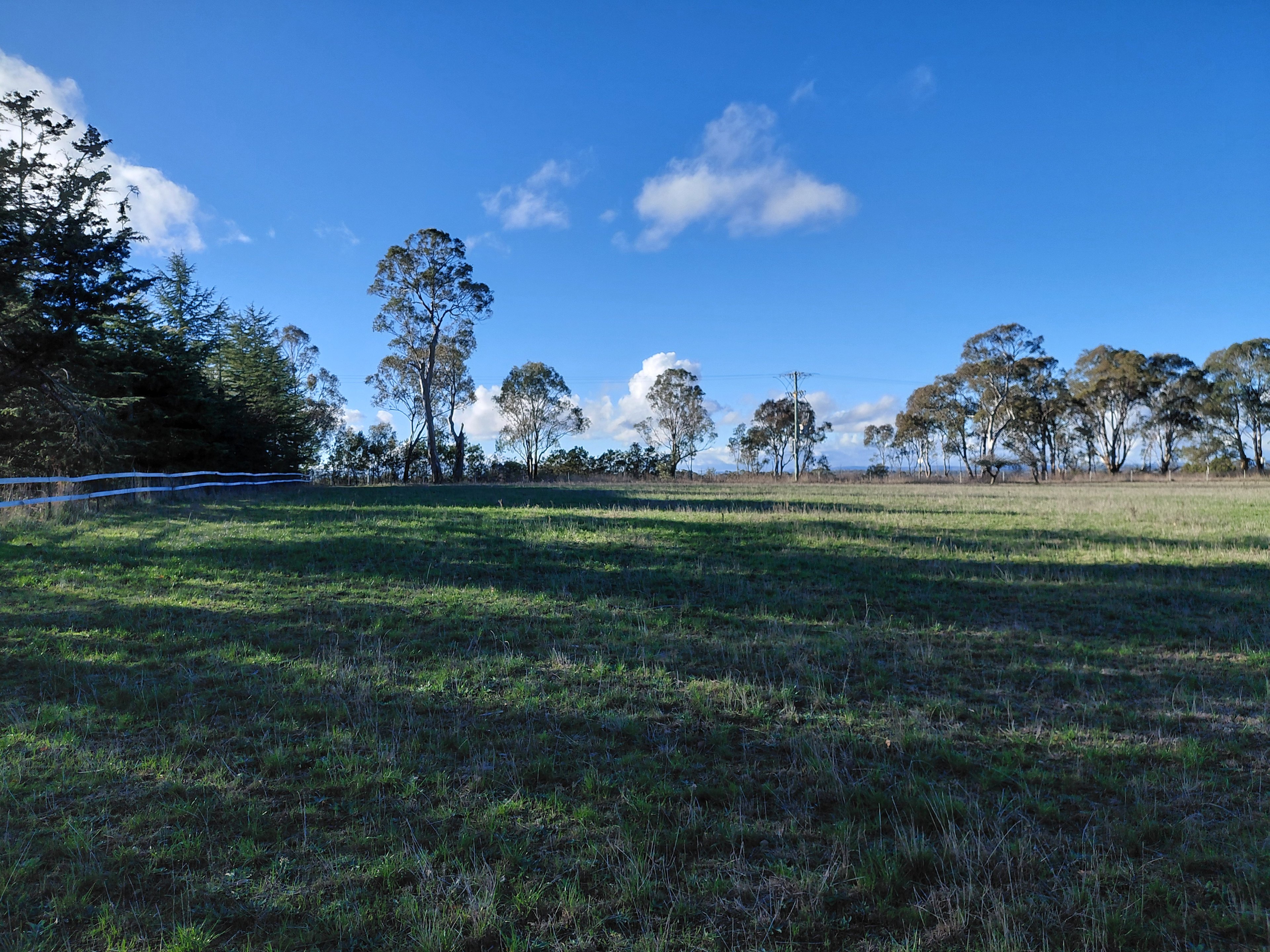 Pleasant Pastures