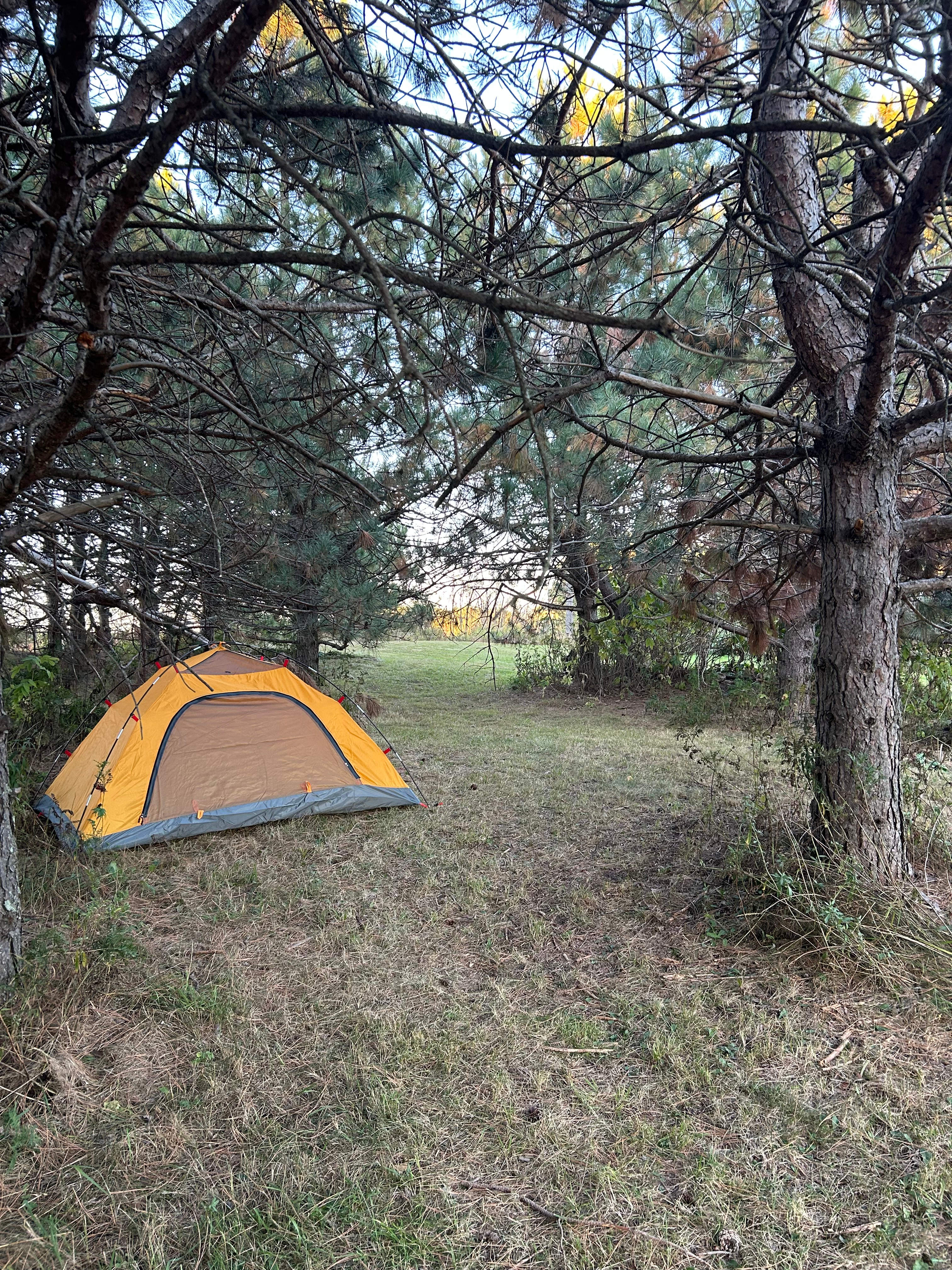 Off Grid Star Gazing
