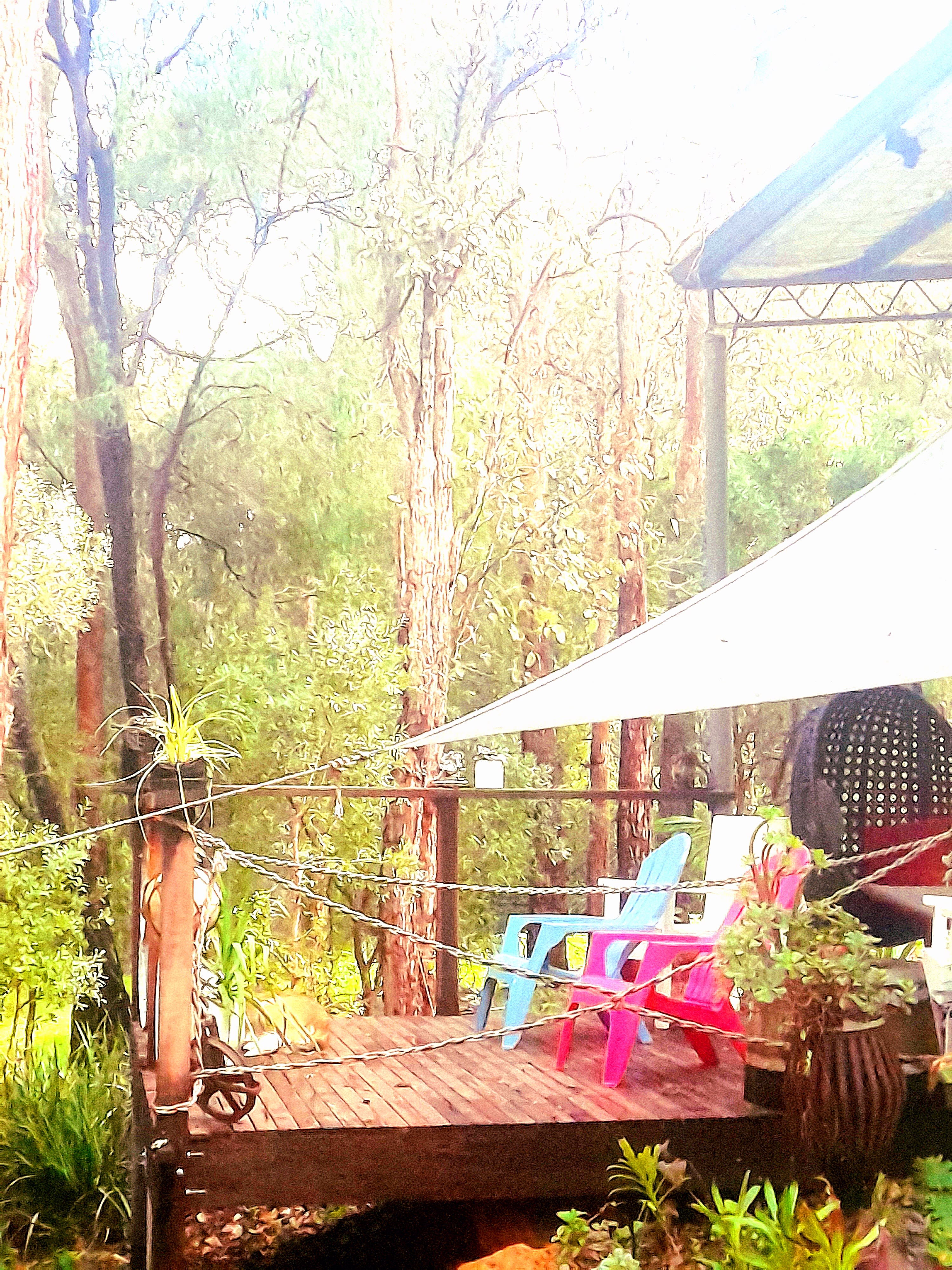 Amaroo Bush Retreat Caravan