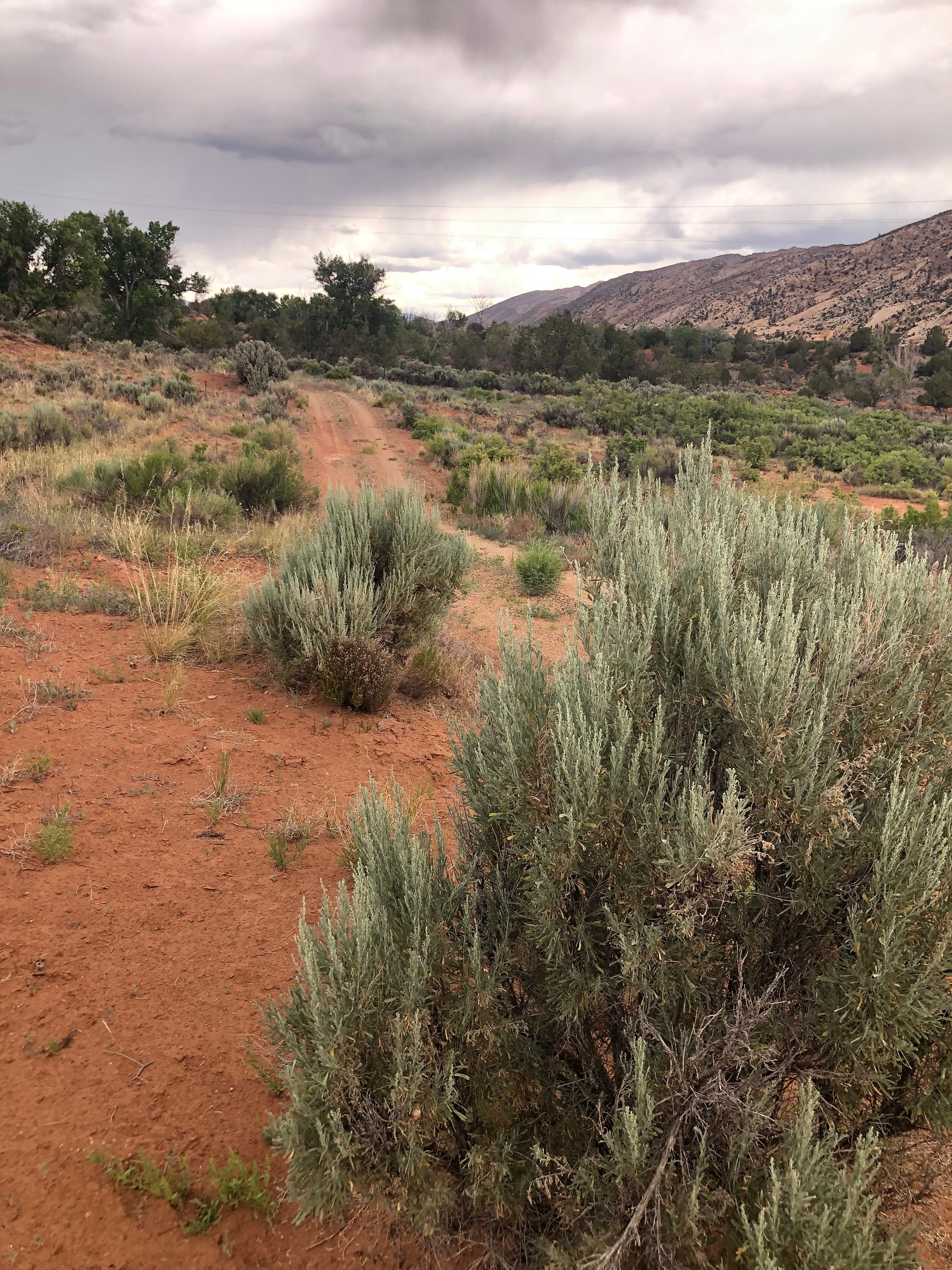 ON THE RED ROCKS IN ESCALANTE