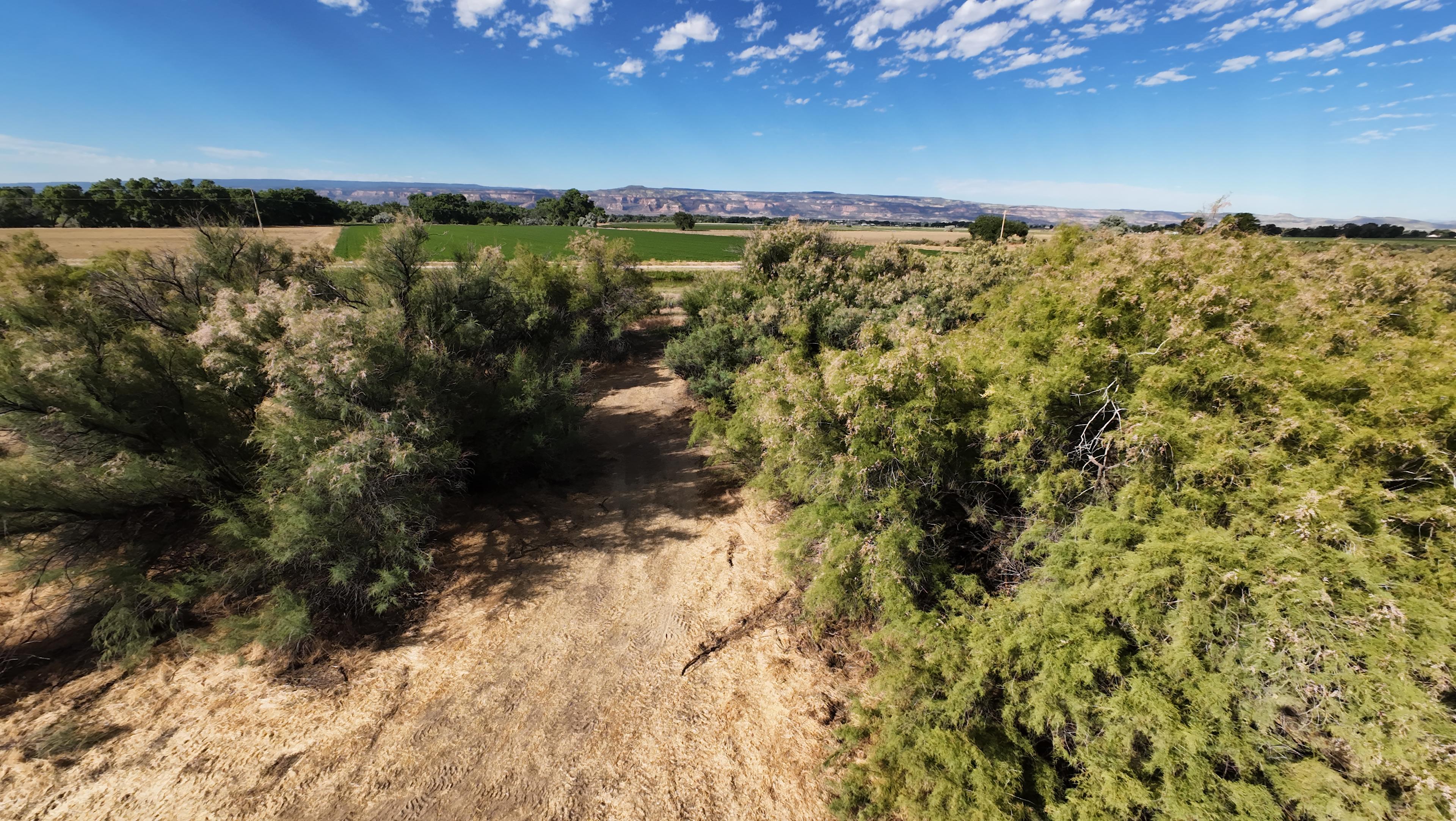 Tamarisk Grove Basecamp