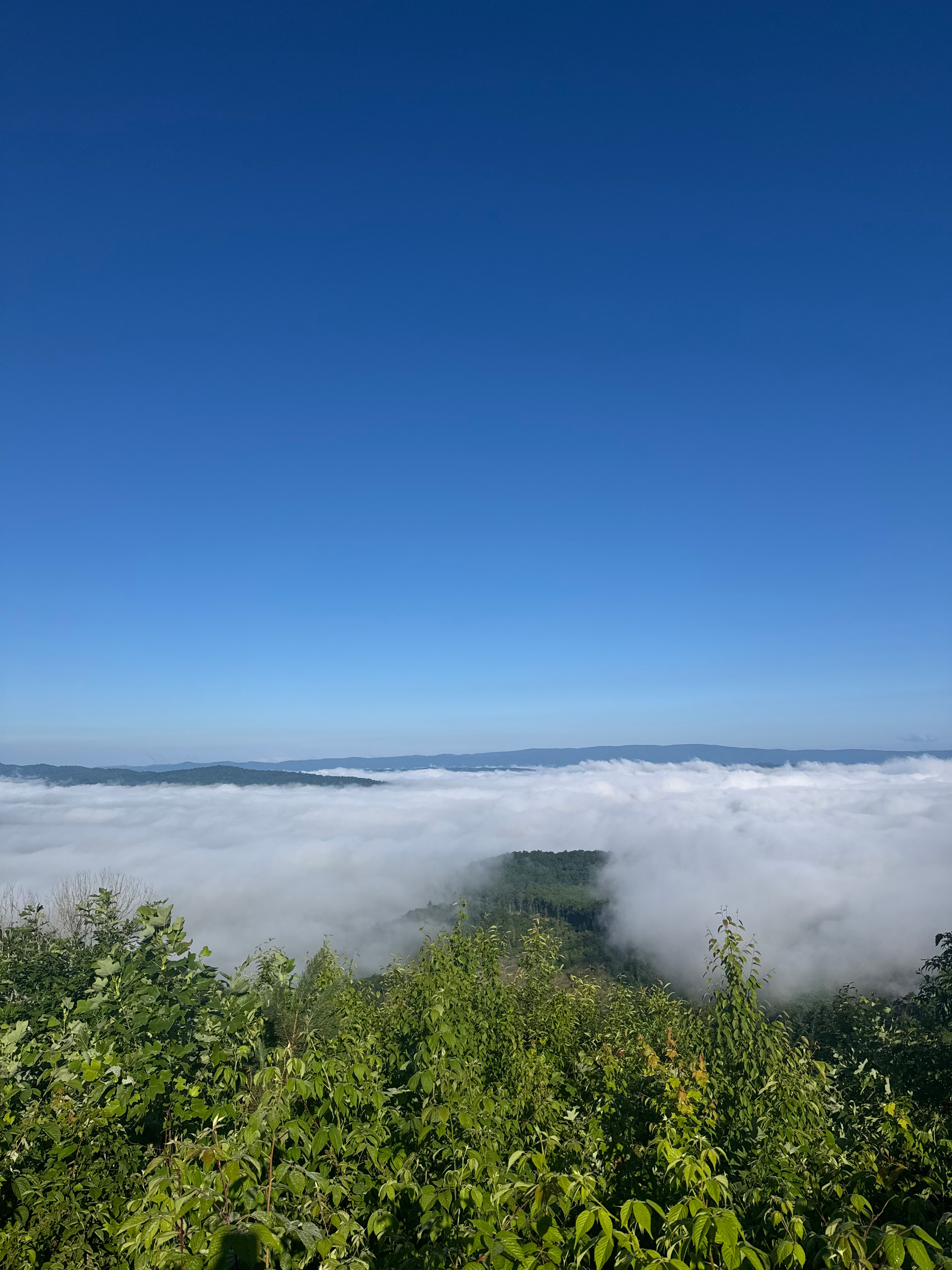 Views for days 