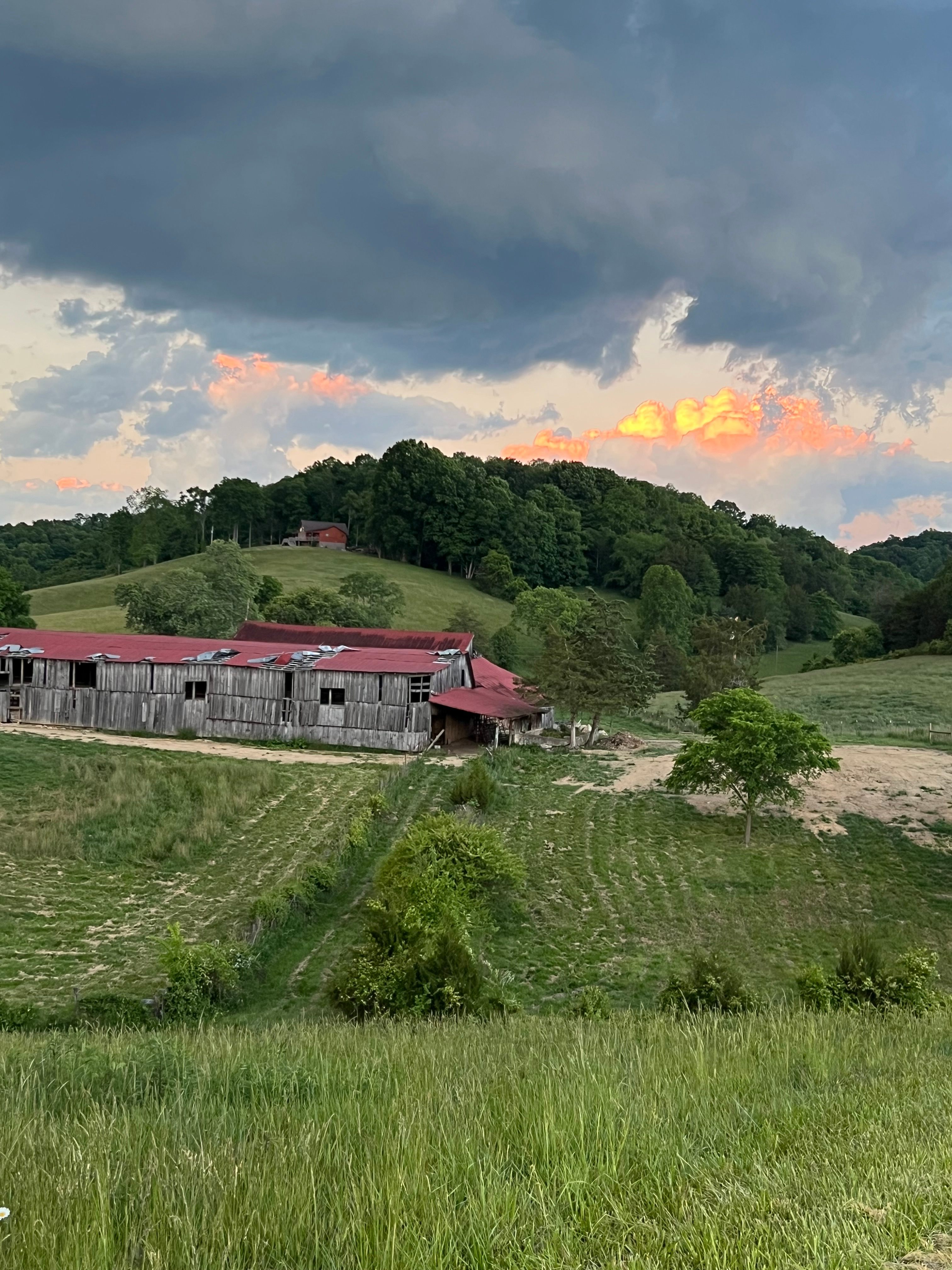 8 Gate Farms