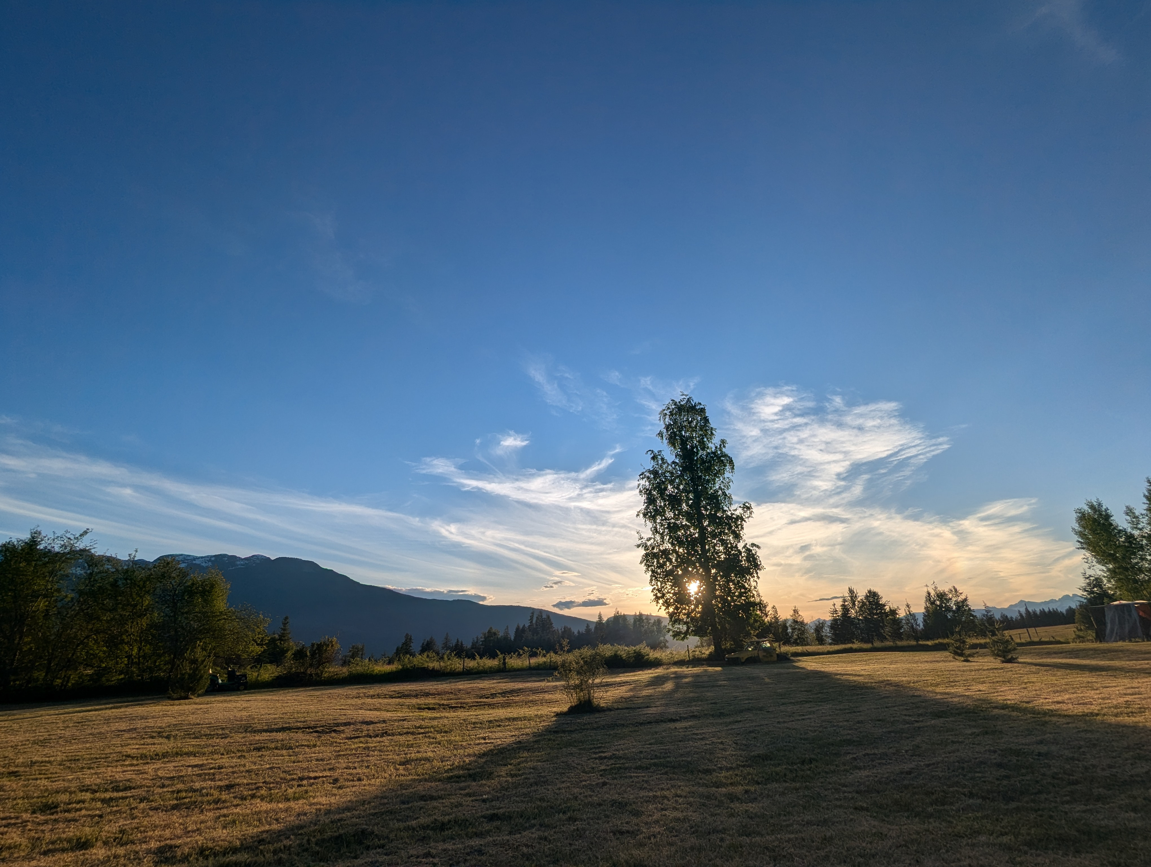 The Back Field