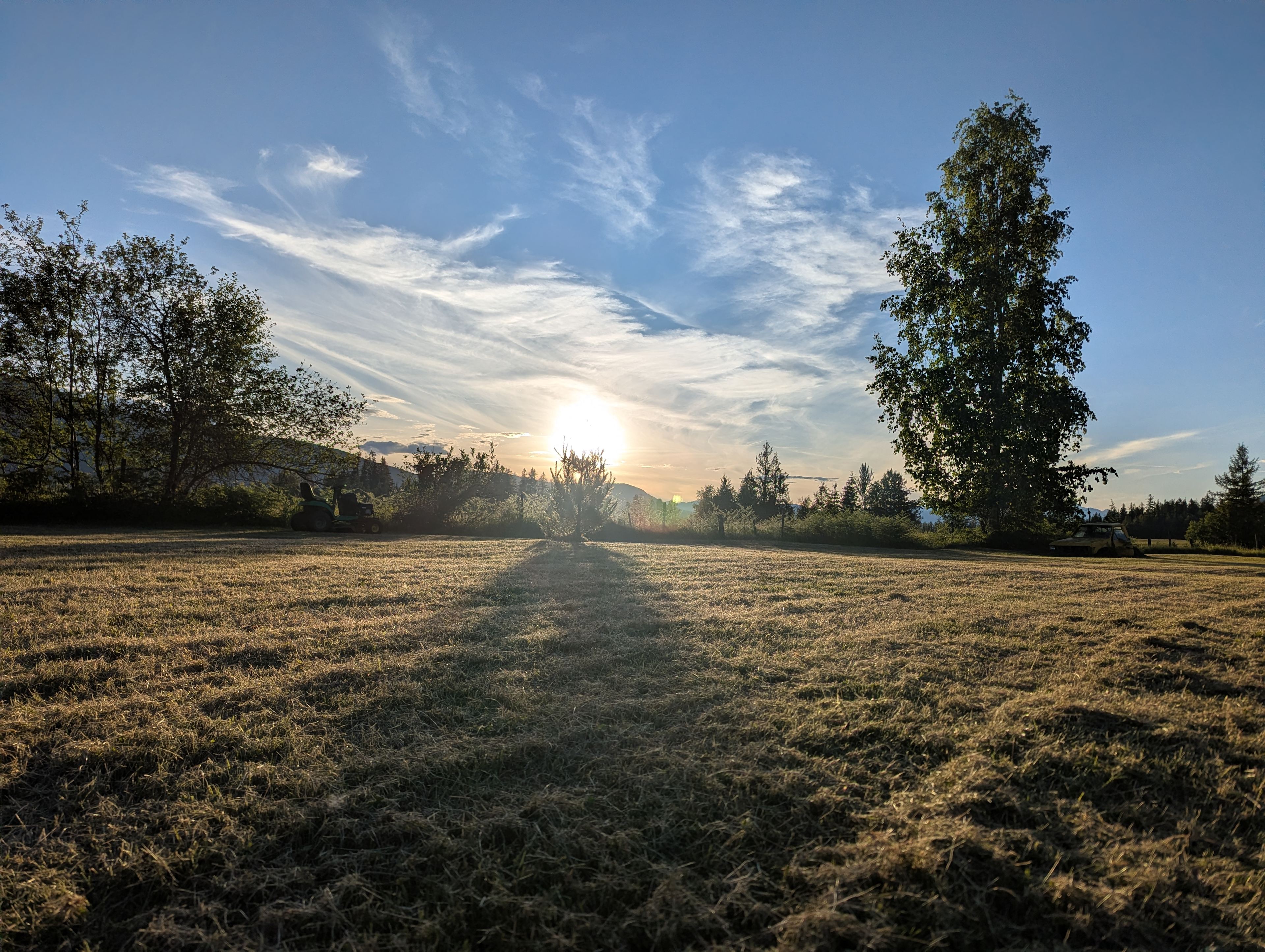 The Back Field