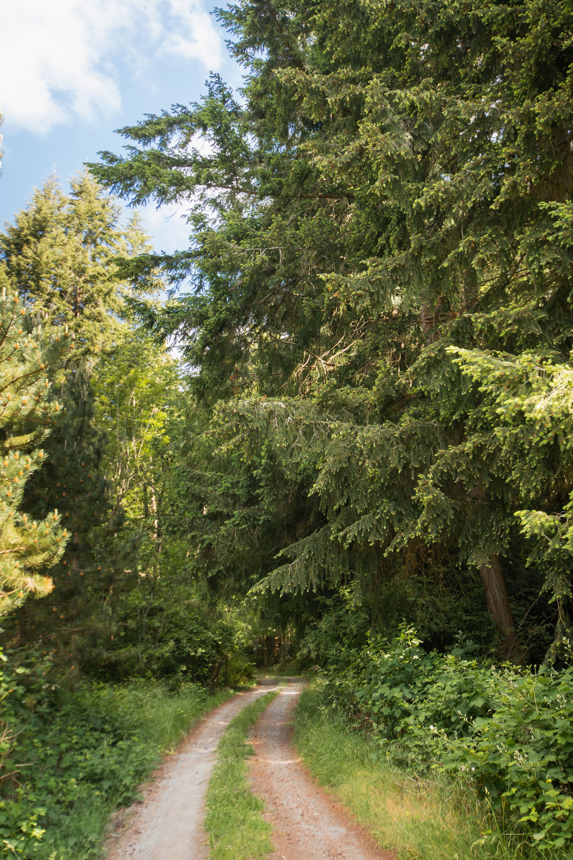 Drive up the mountain until you see our next sign "P & E Estates"