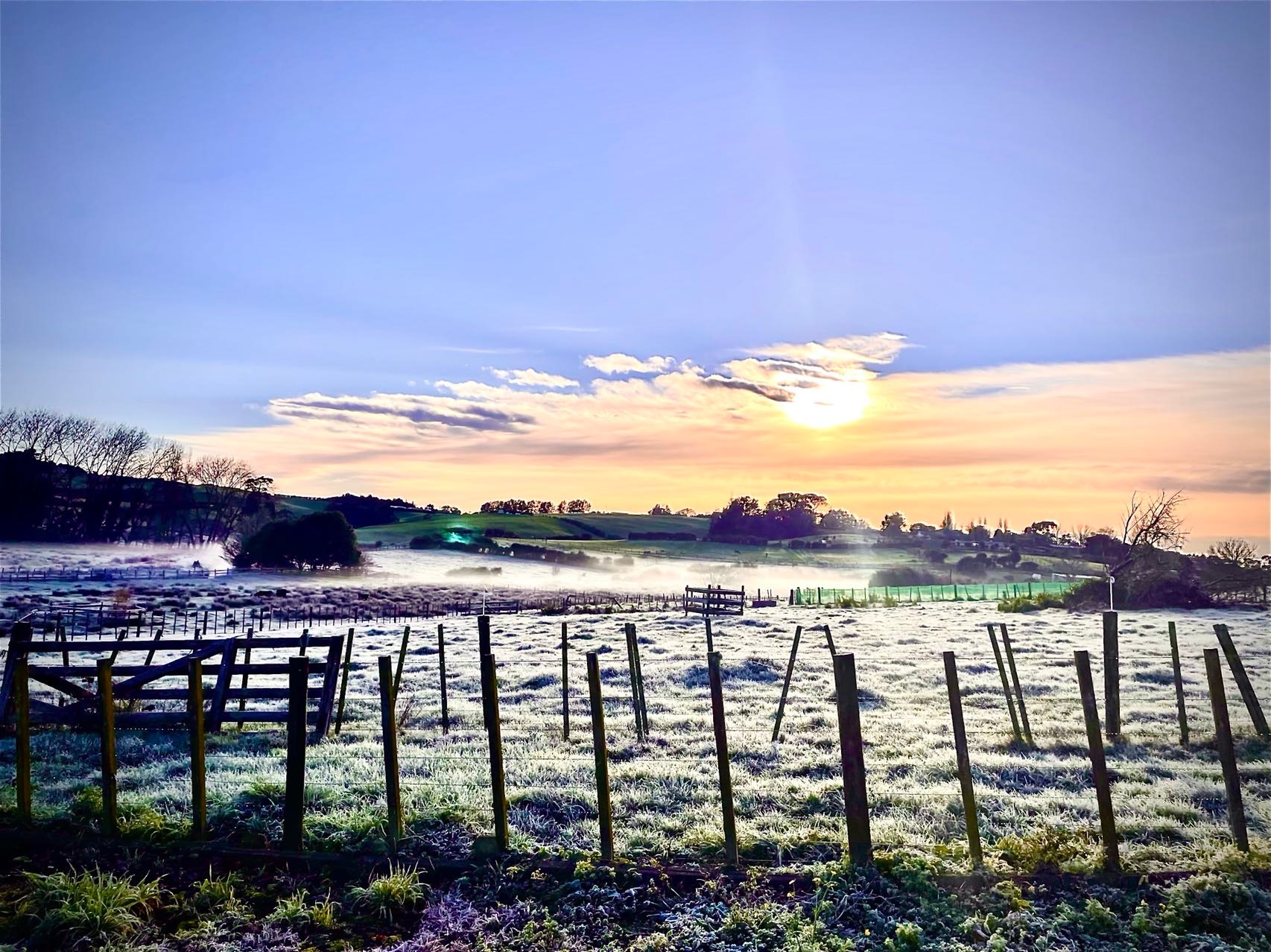 Nature Nest Farm – South Auckland Farm Stay & RV Camping