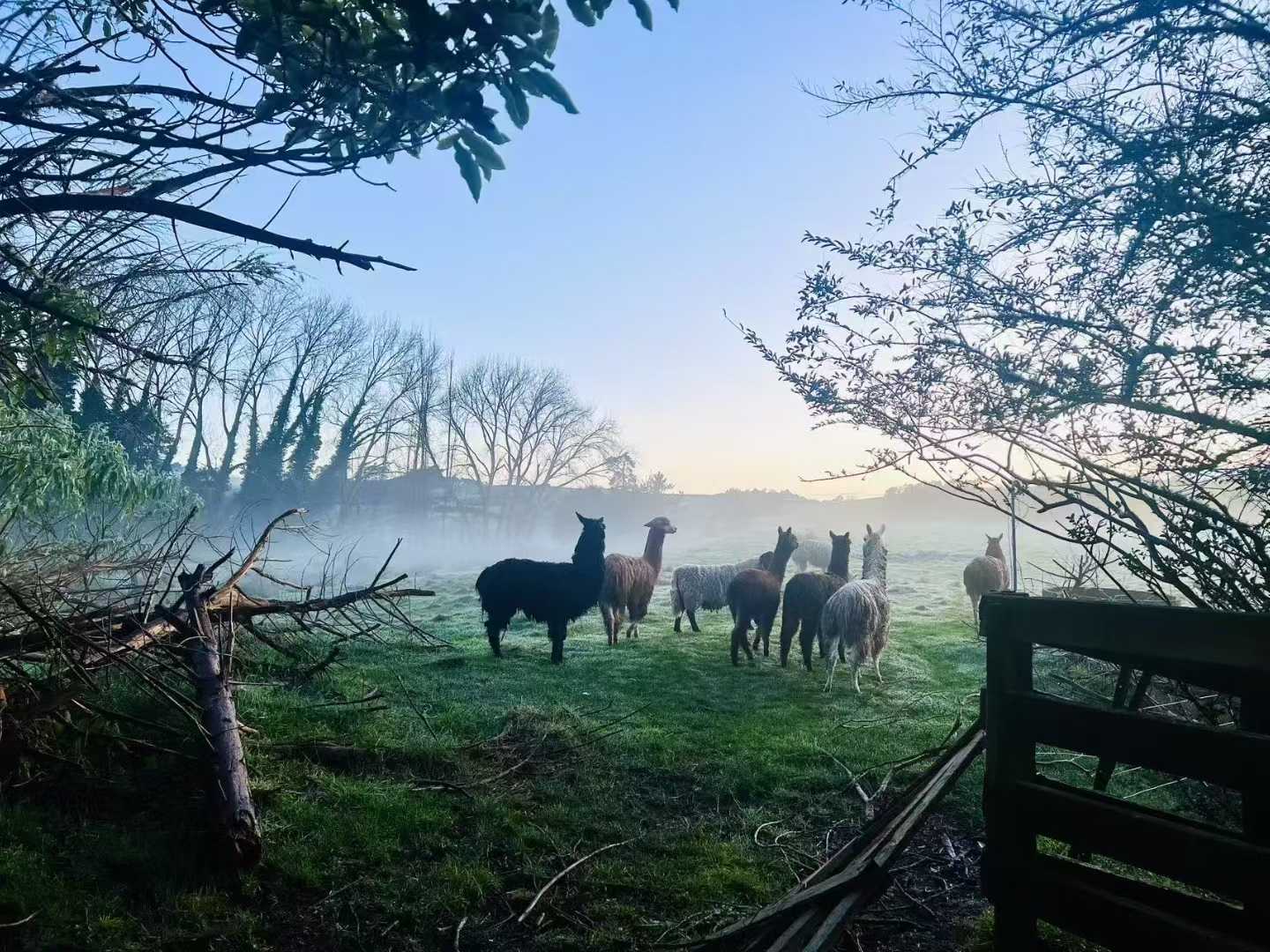 Nature Nest Farm – South Auckland Farm Stay & RV Camping