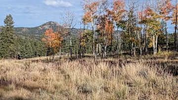 MST Ranch