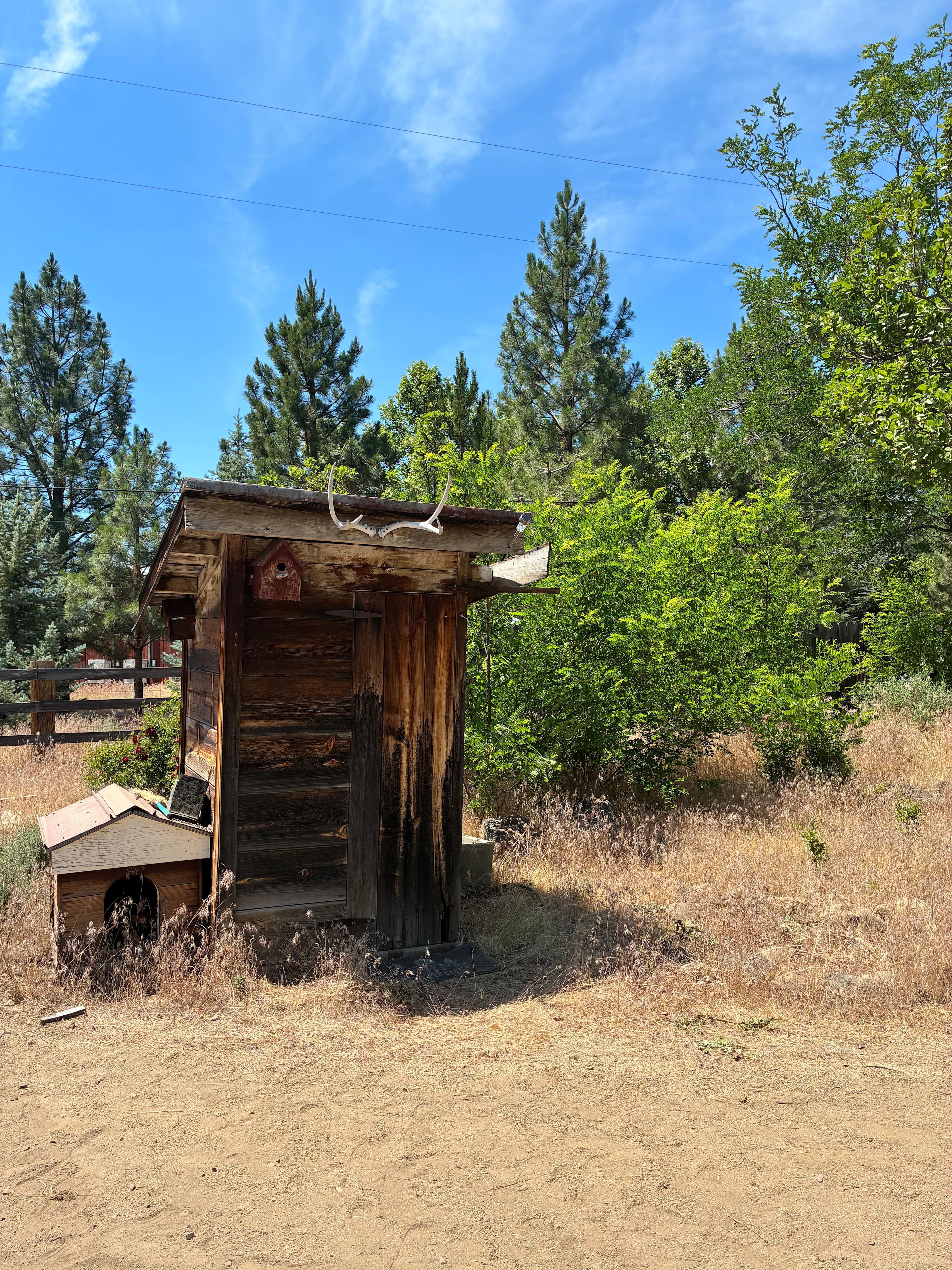 2 Acres w/1000's of Acres of Forest