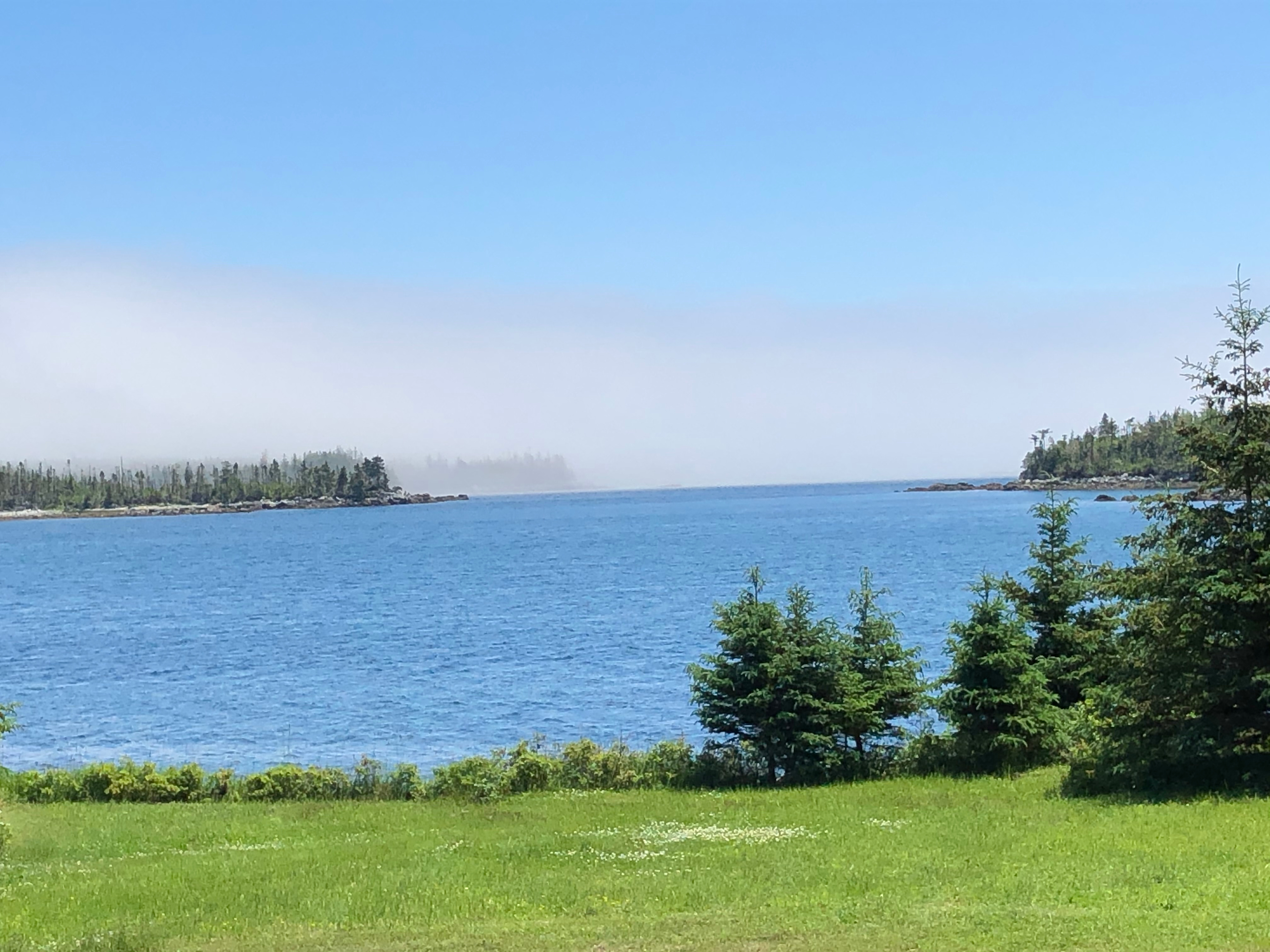 Fog just off shore