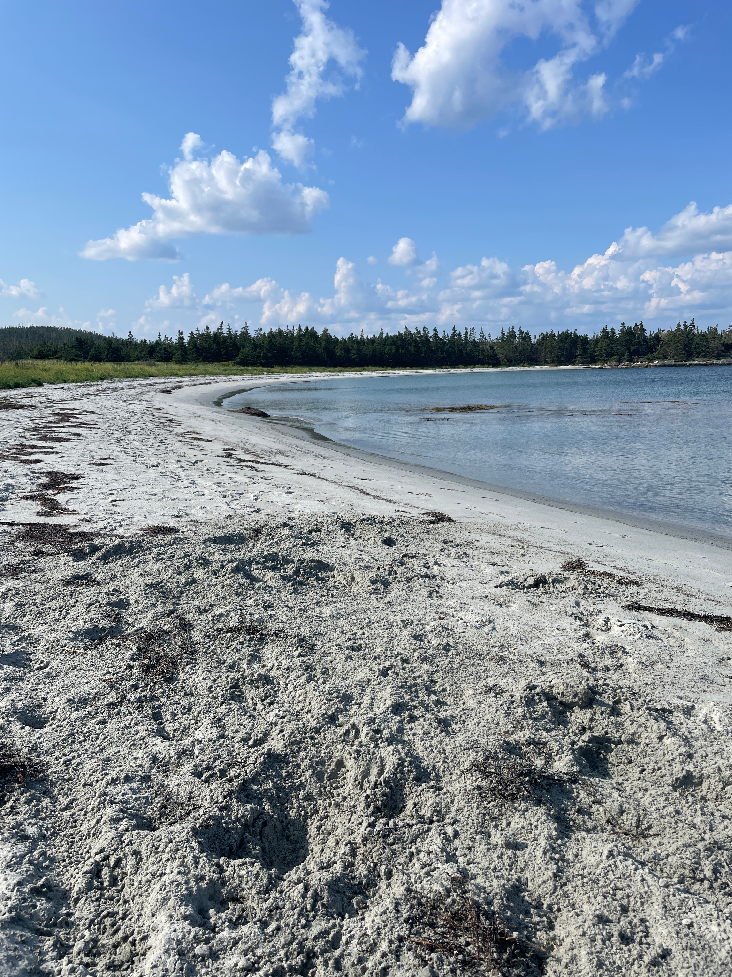 Sandy Cove beach