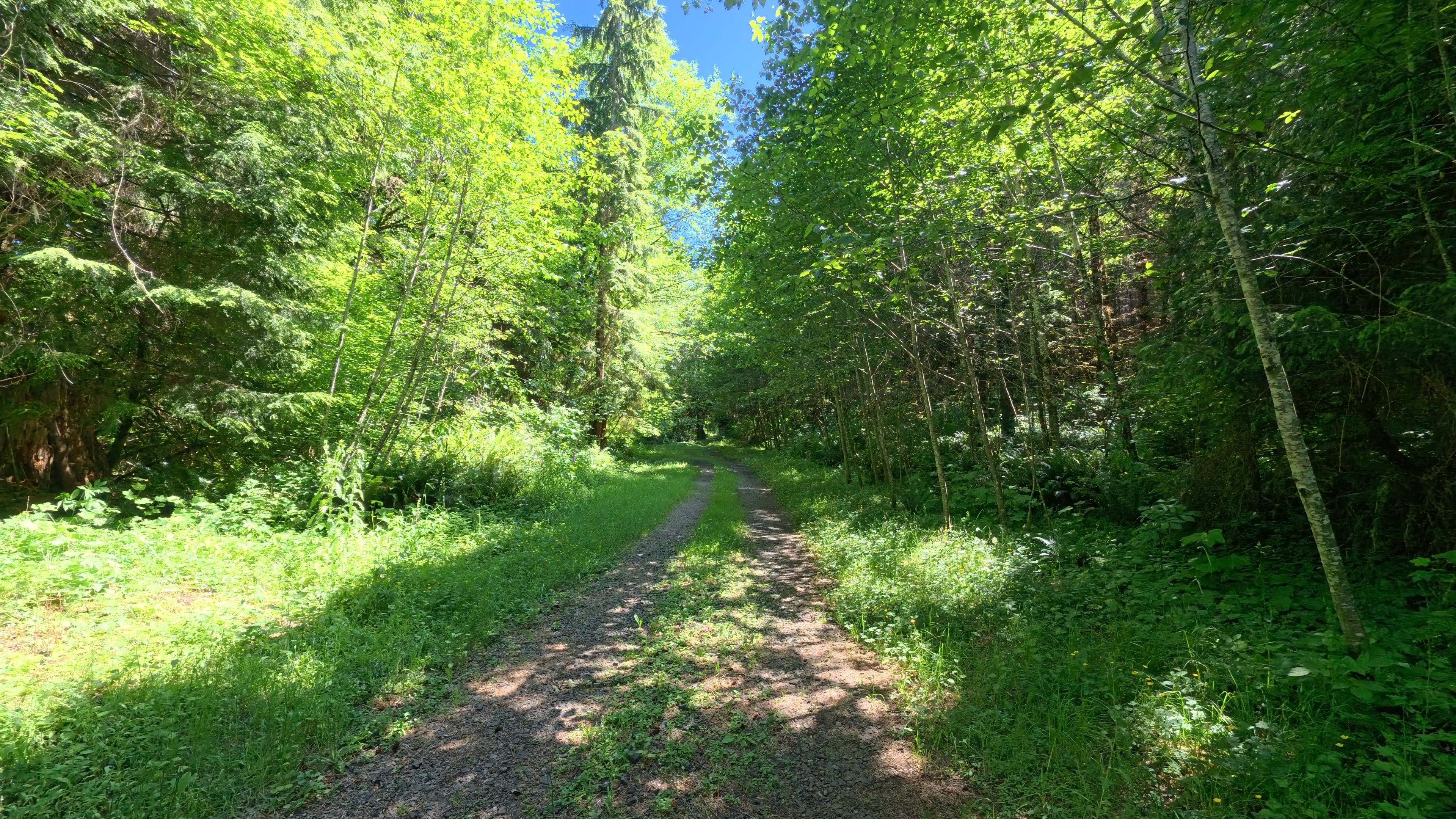 Bedrock Campground