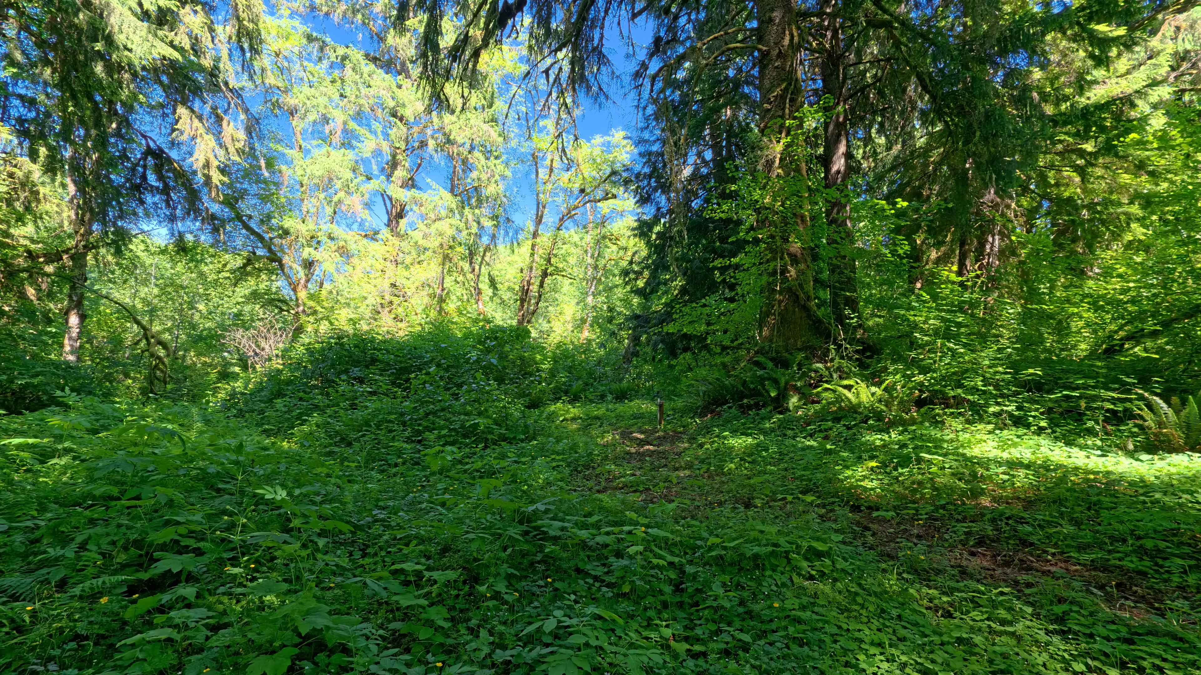 Bedrock Campground