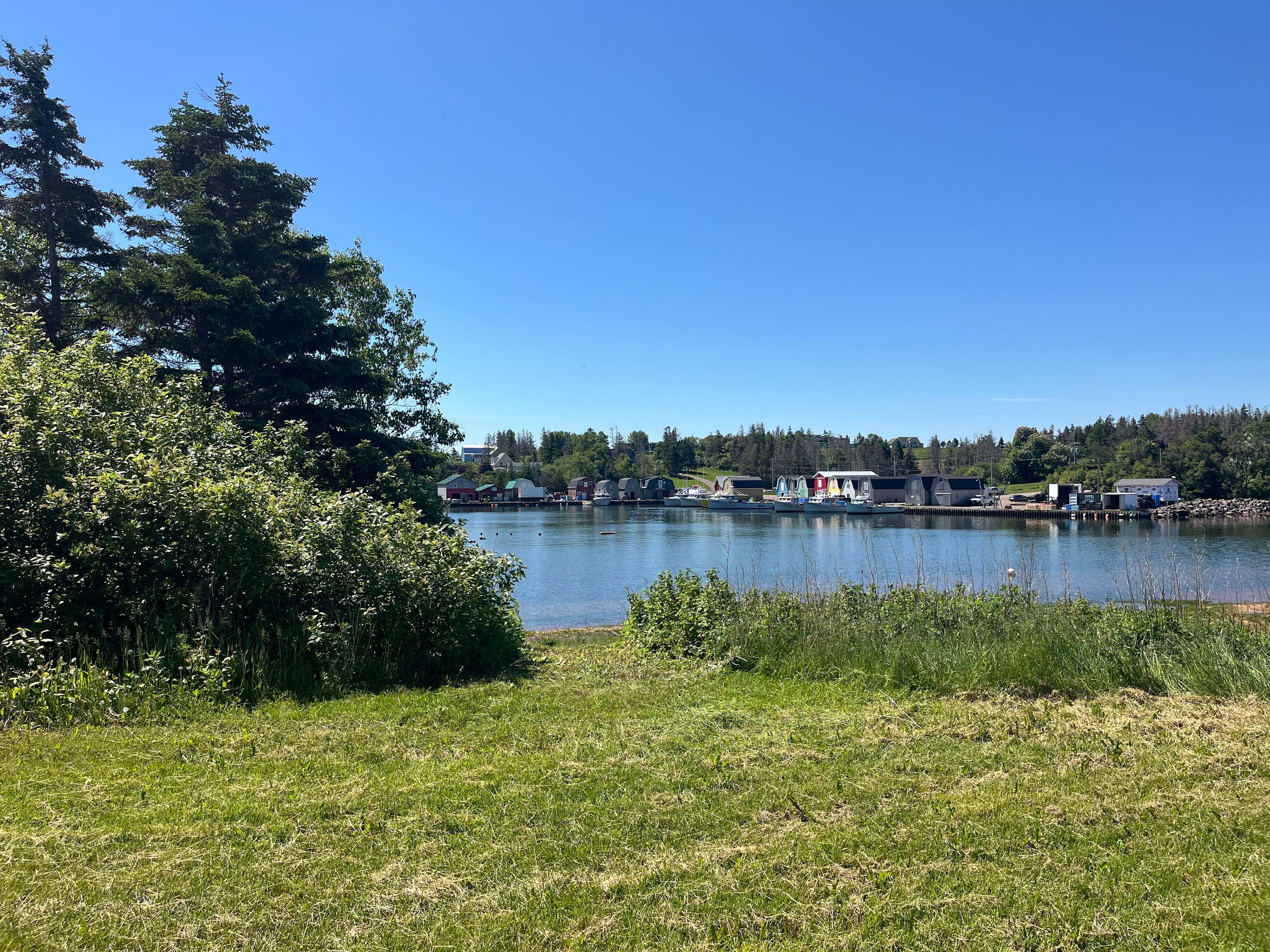 French River with a View